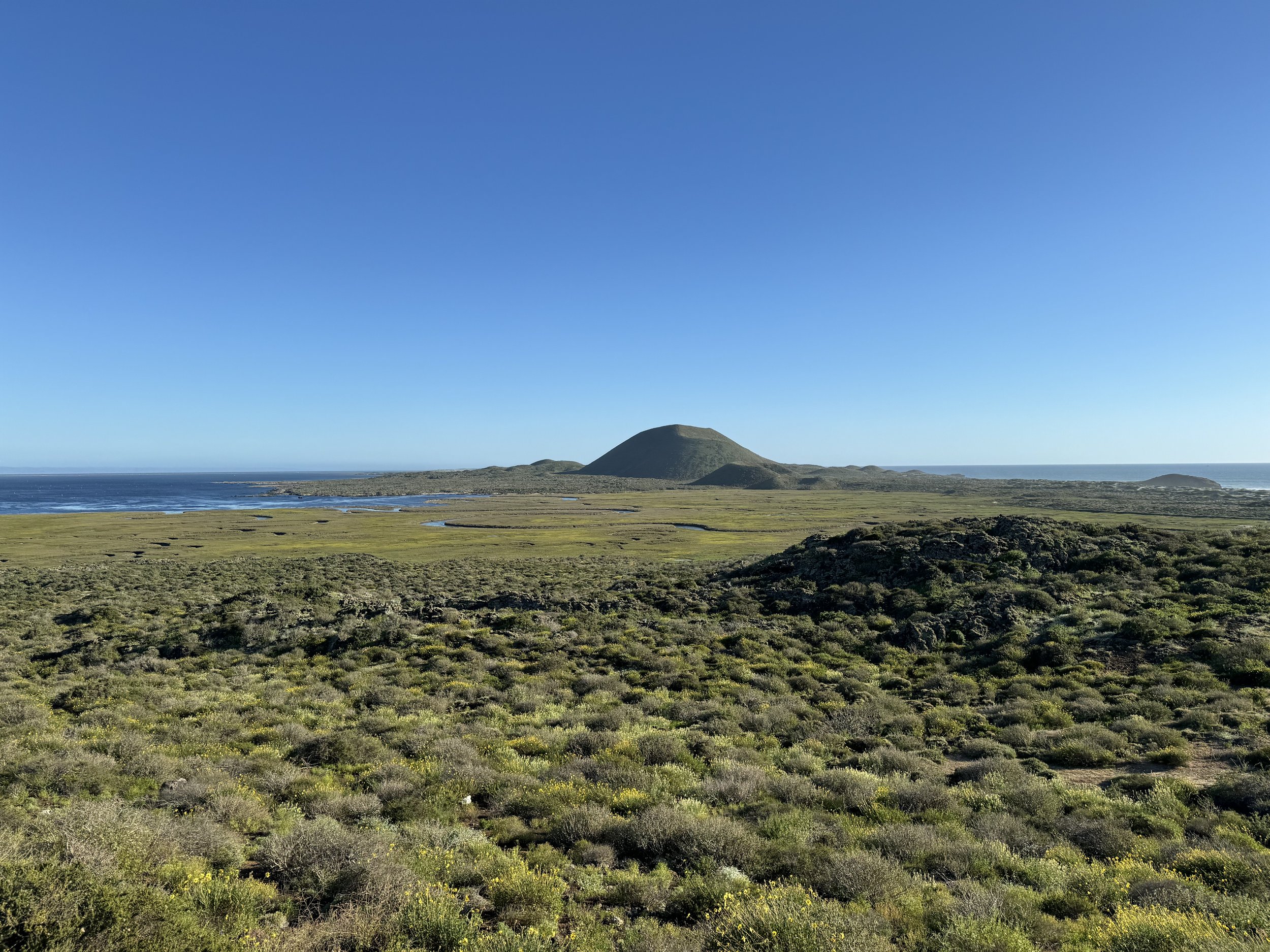 Bahía de San Quintín