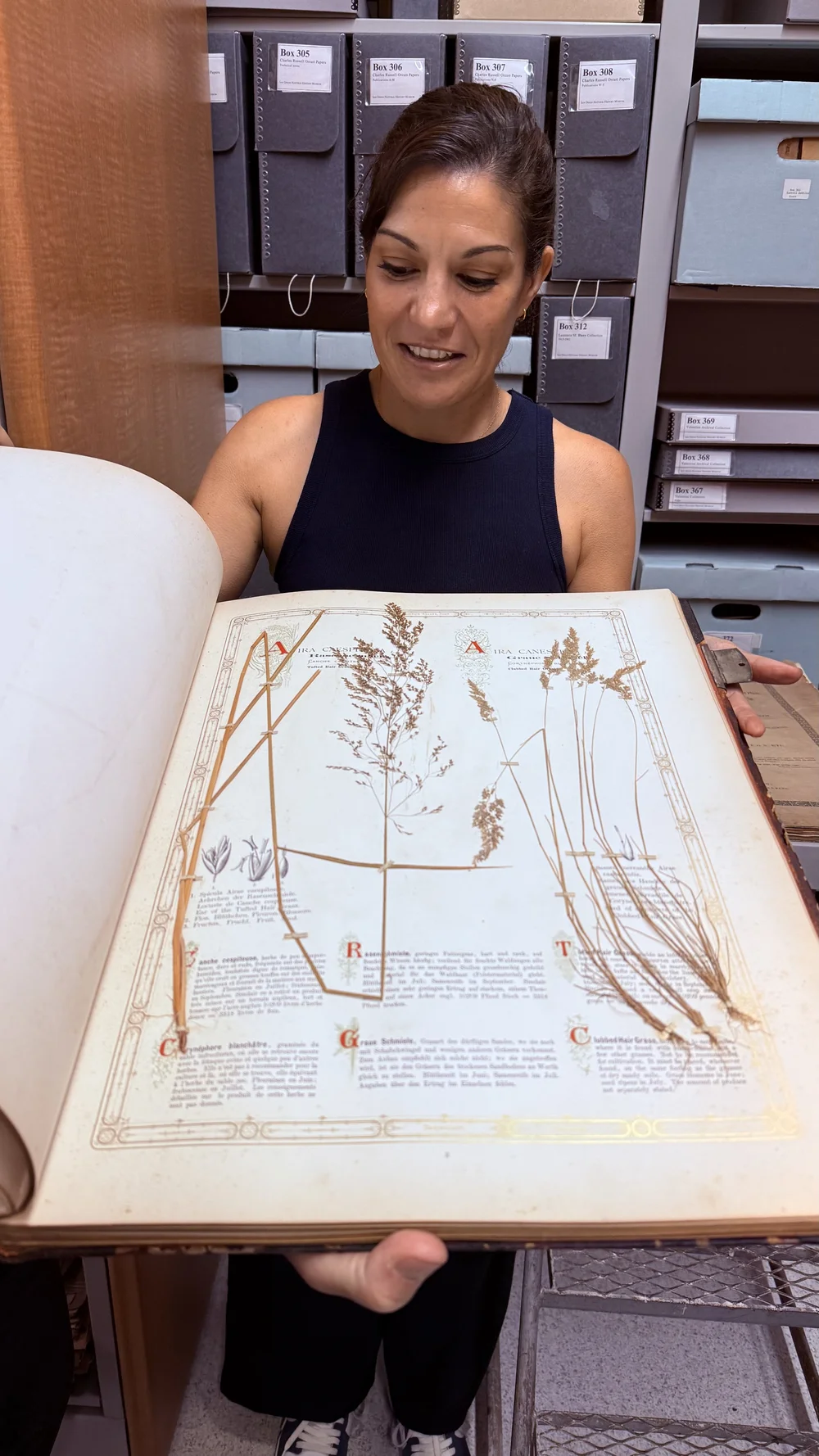 Most Important Grasses of the Field and Forest