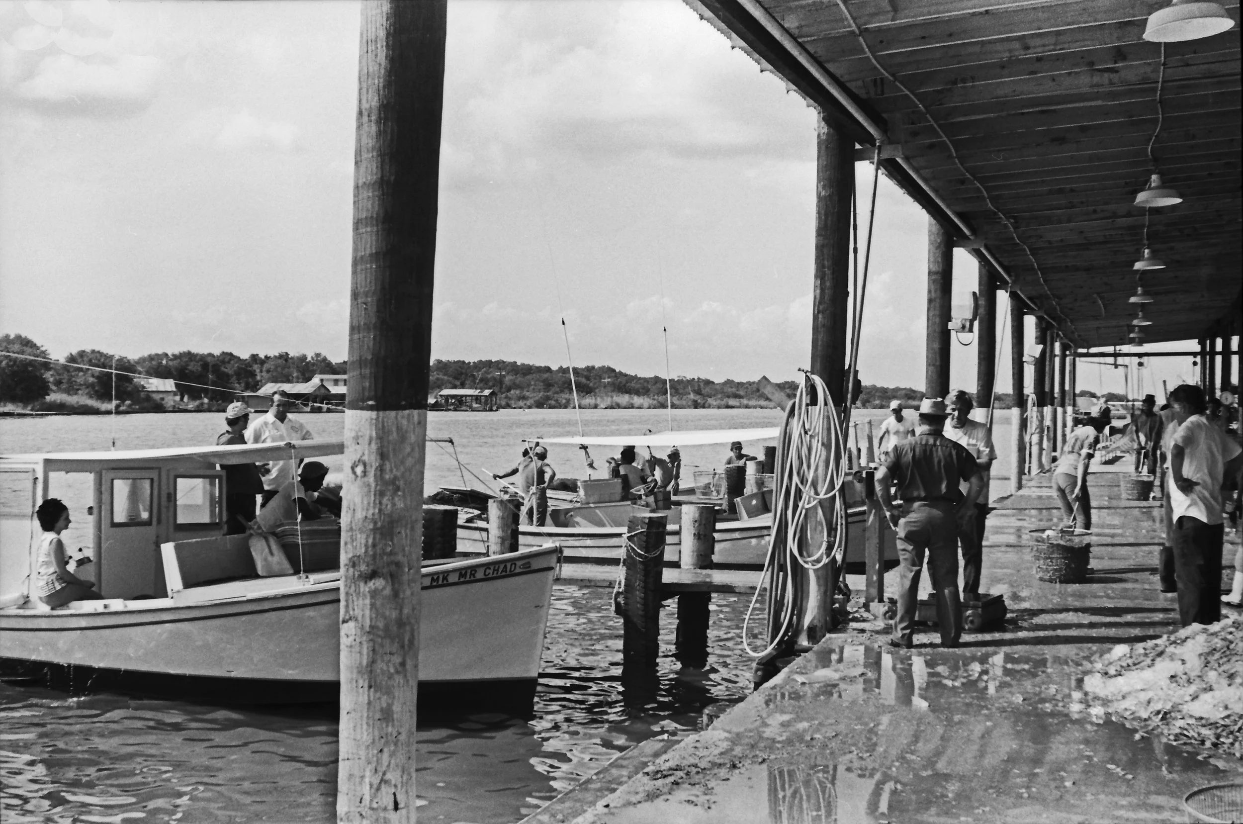 Shrimp Dock 2 Corr.jpg