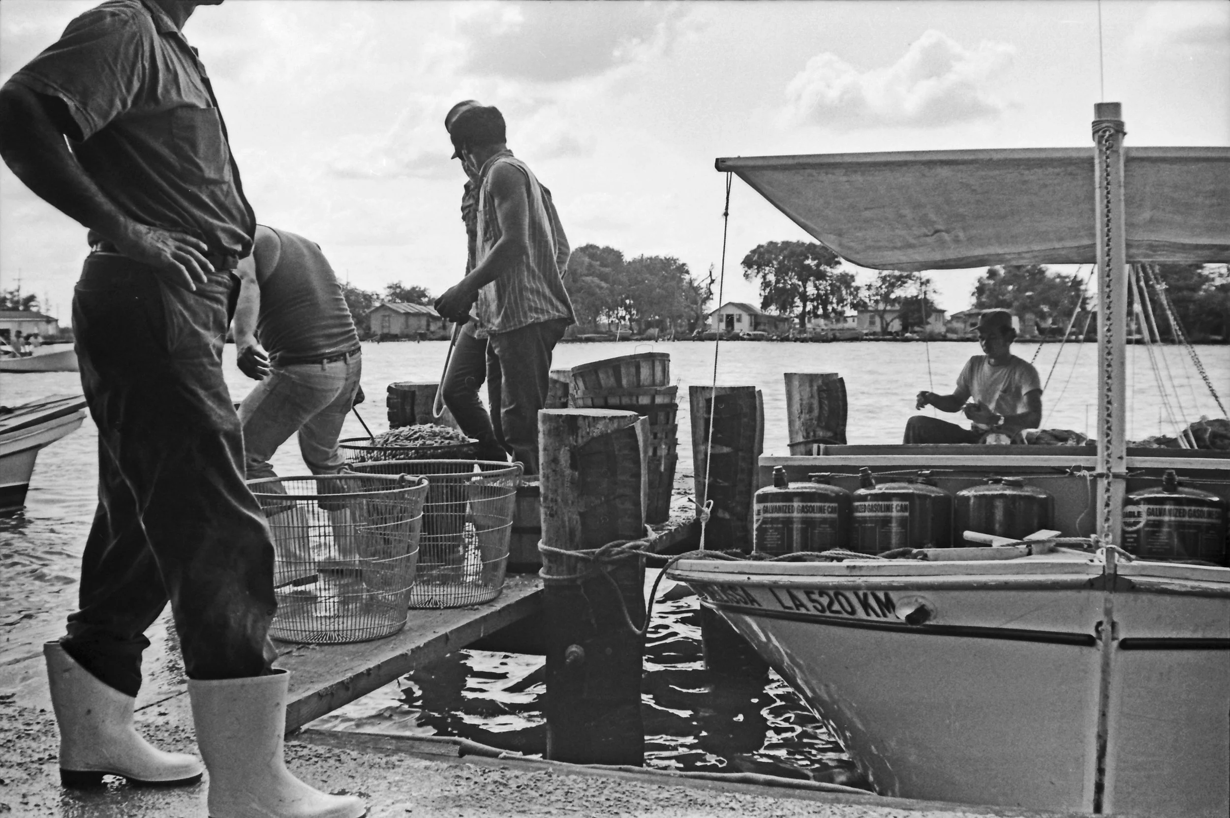 Shrimp Dock 5 Corr.jpg