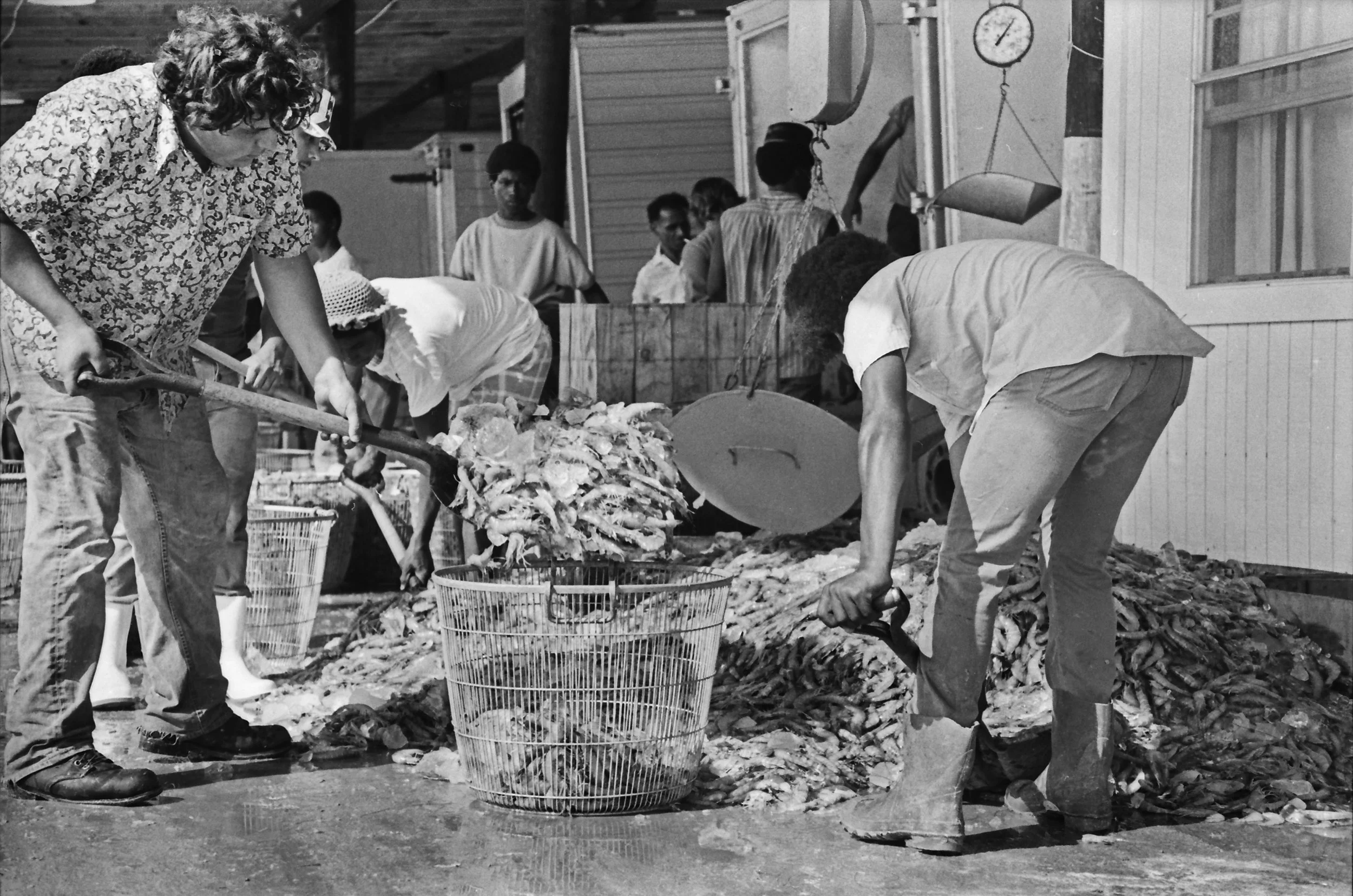Shrimp Dock 12 Corr.jpg
