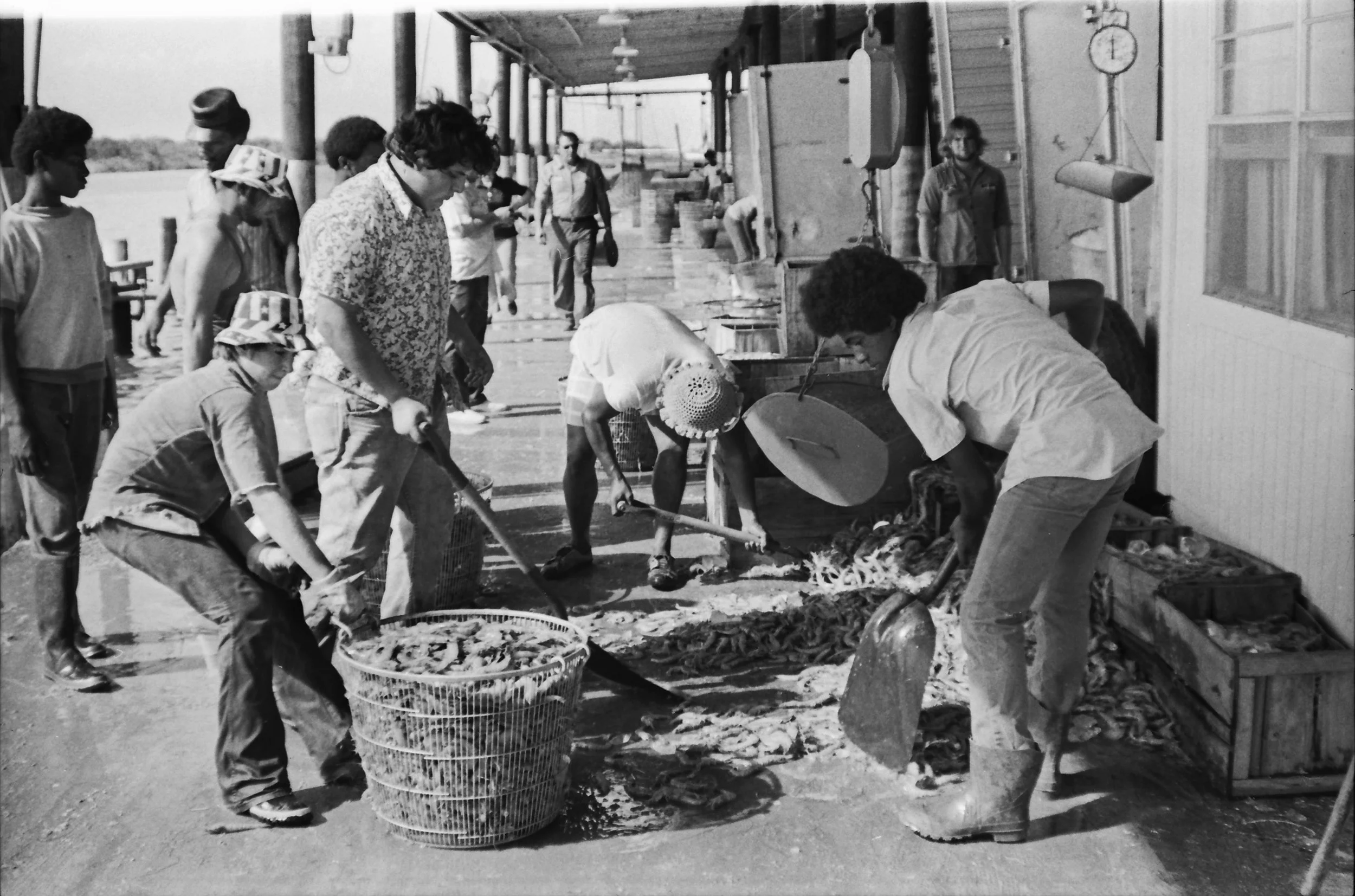 Shrimp Dock 14 Corr.jpg