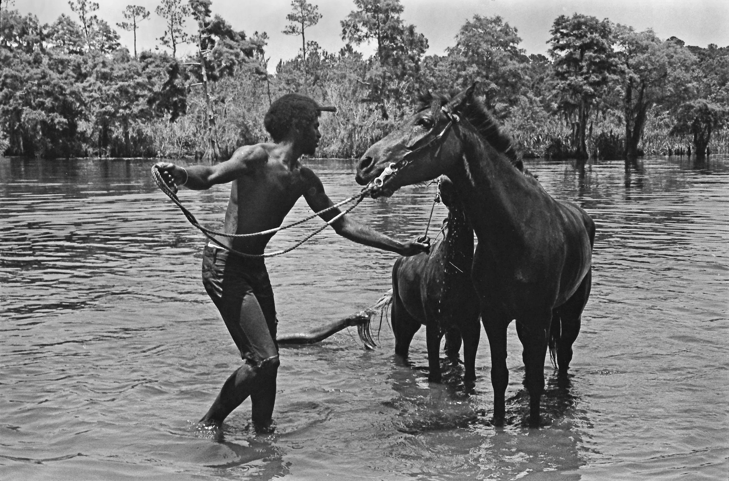 Boy and Horses Corr .jpg