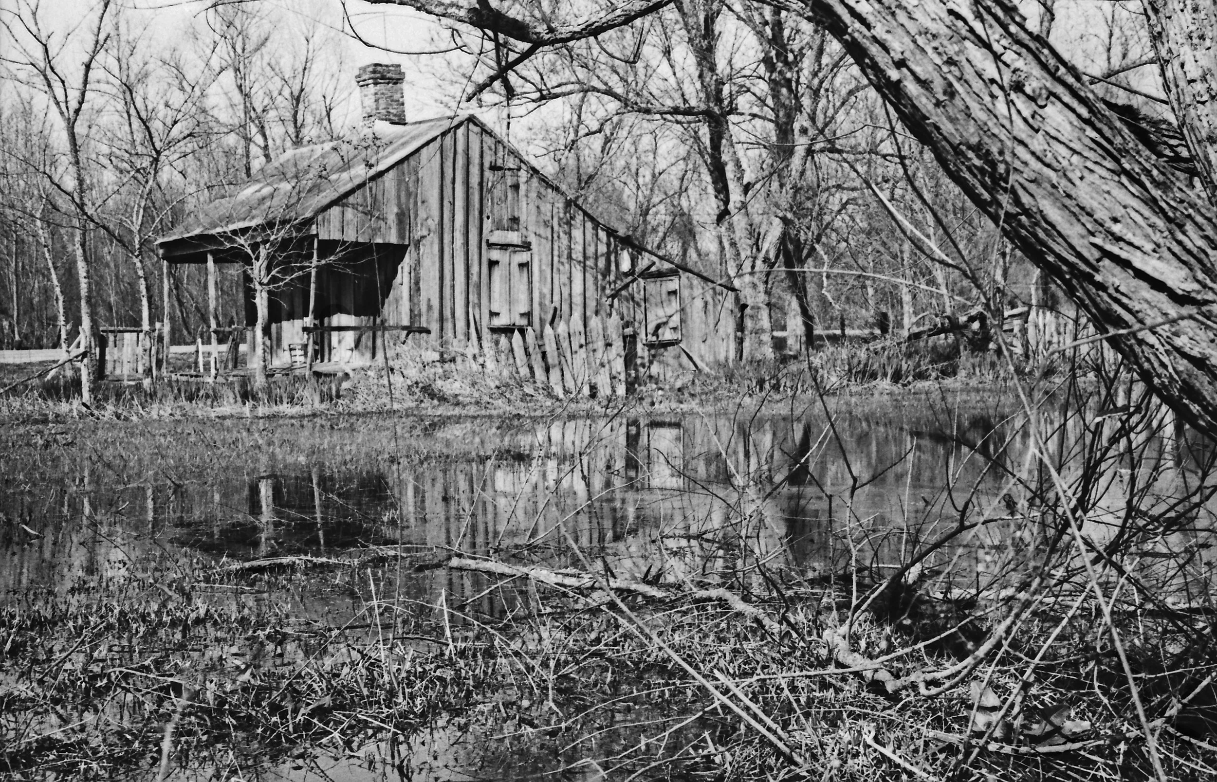 Swamp Cabin copy AA.jpg