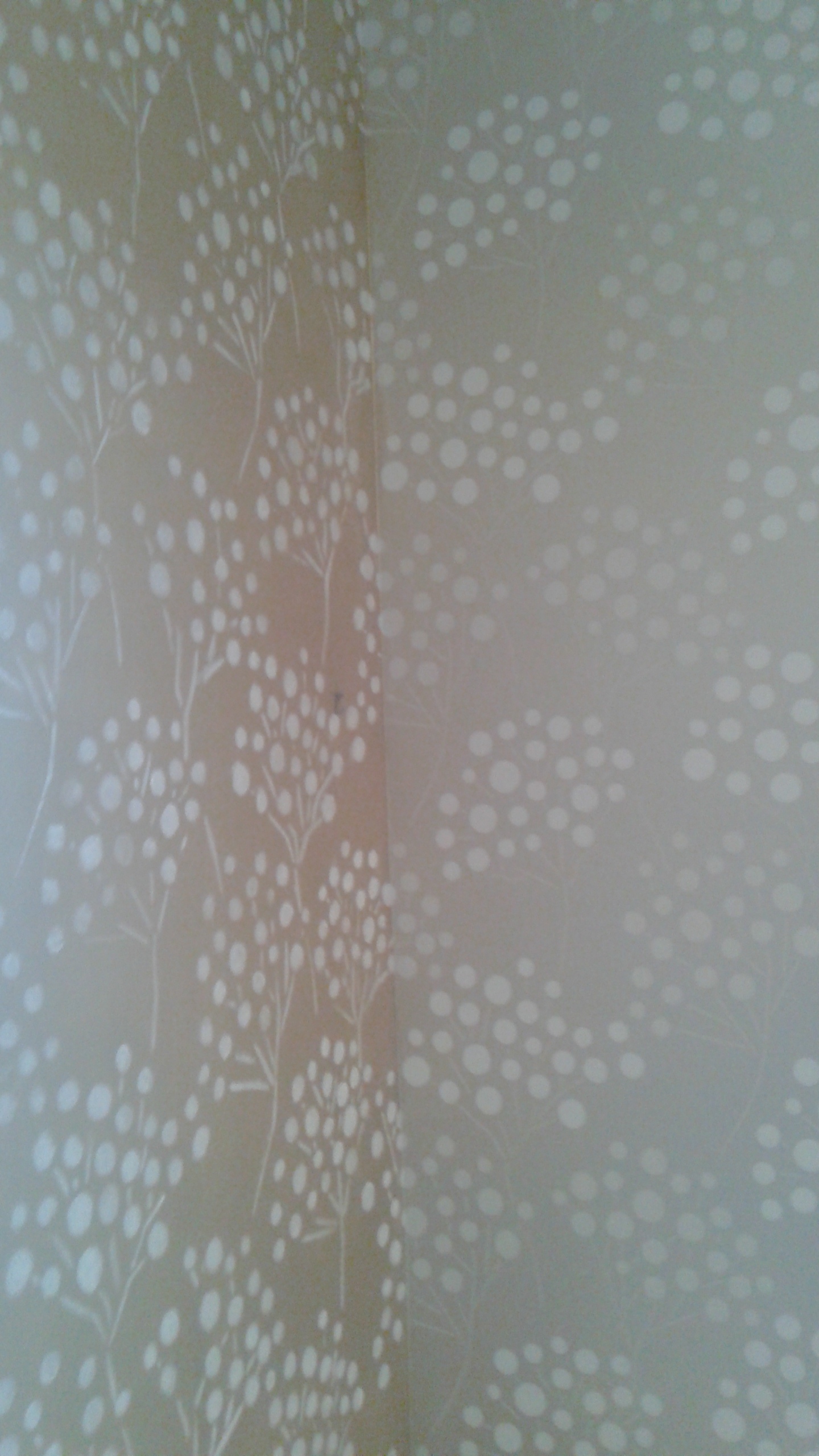 Wallpaper Replication