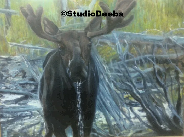 Moose
