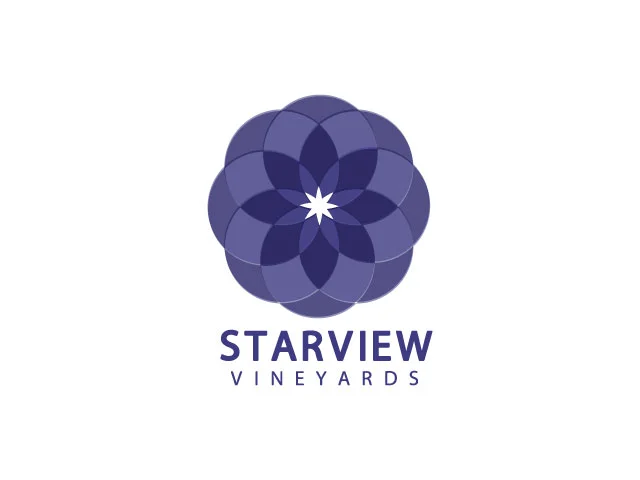 Logo-Starview.jpg