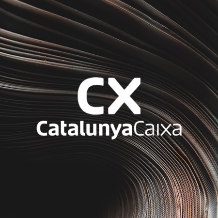 caixacat.jpg