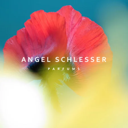 angel.jpg