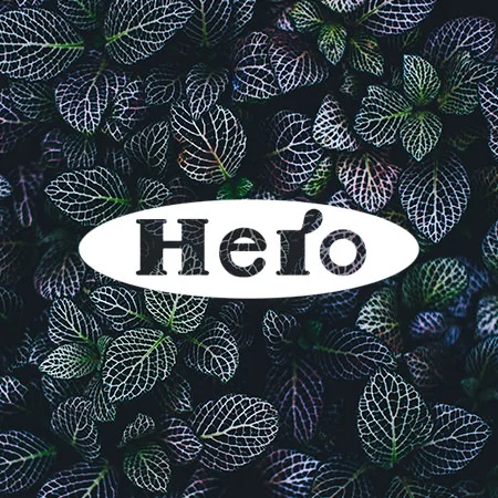 hero.jpg
