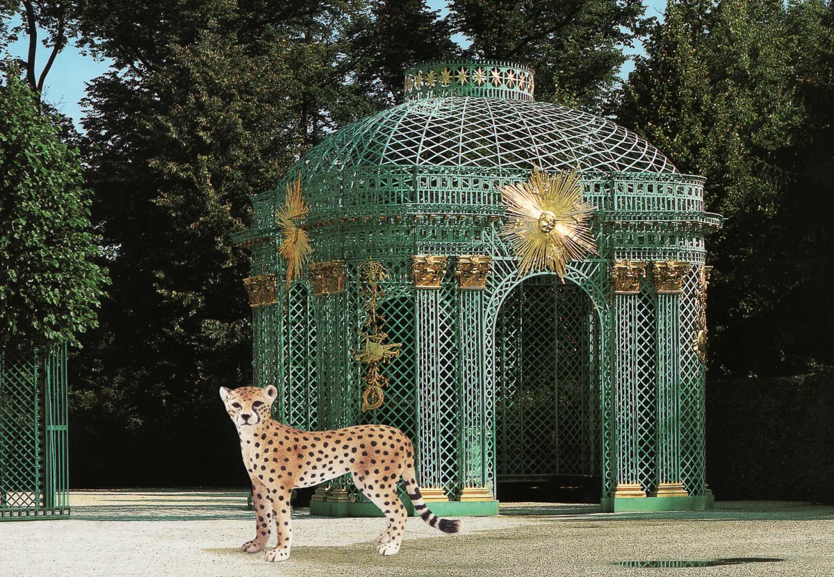 Cheetah and Pavillion at Sans Souci