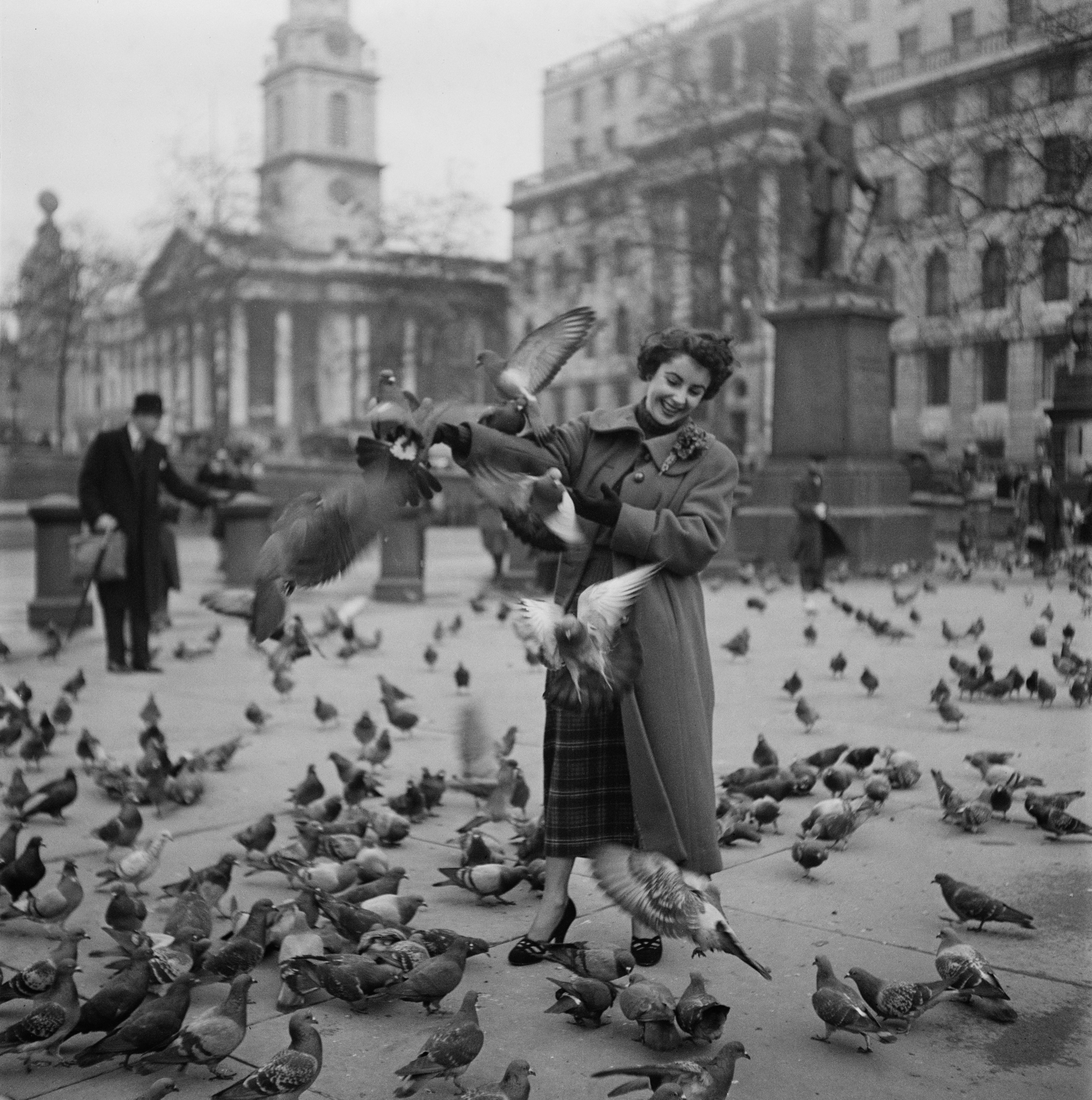 GettyImages_pidgeons.jpg
