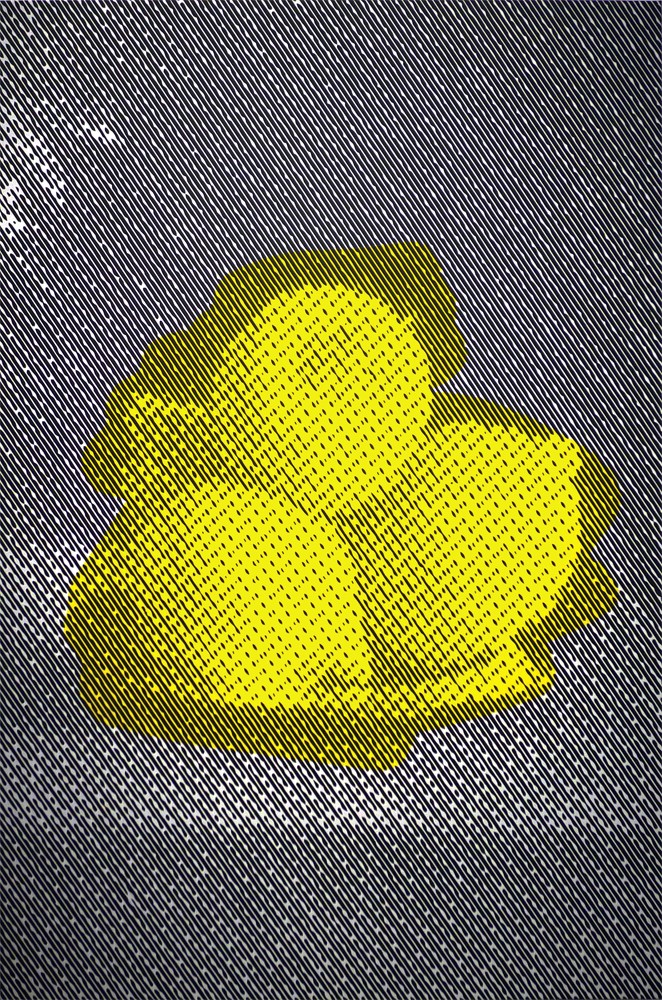 Lemons, 2014, acrylic on canvas, 60 x 40 inches. Courtesy the artist and Wilding Cran Gallery, Los Angeles.