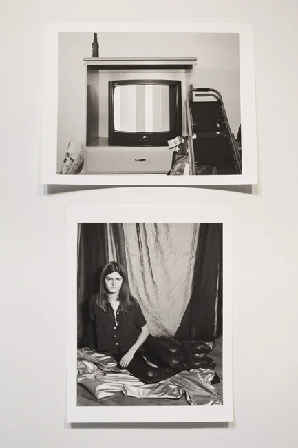 Installation view of Das Ding at Wilding Cran Gallery