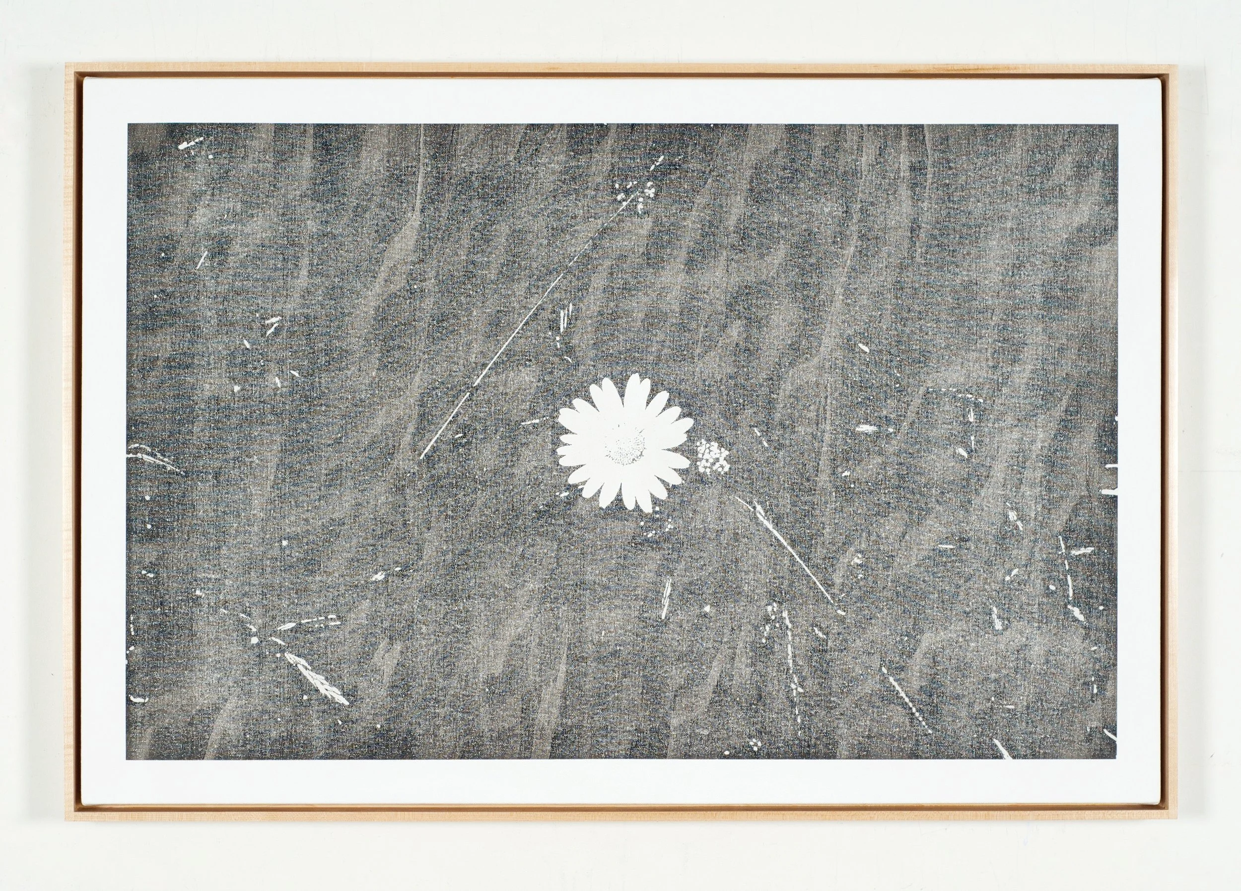Static Image Painting/Grey/Wildflower/Wildwood Road/Hampstead/London/Walking Back From Healthwood/Two