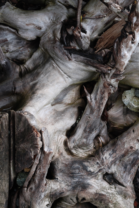 IMG_8567.jpg