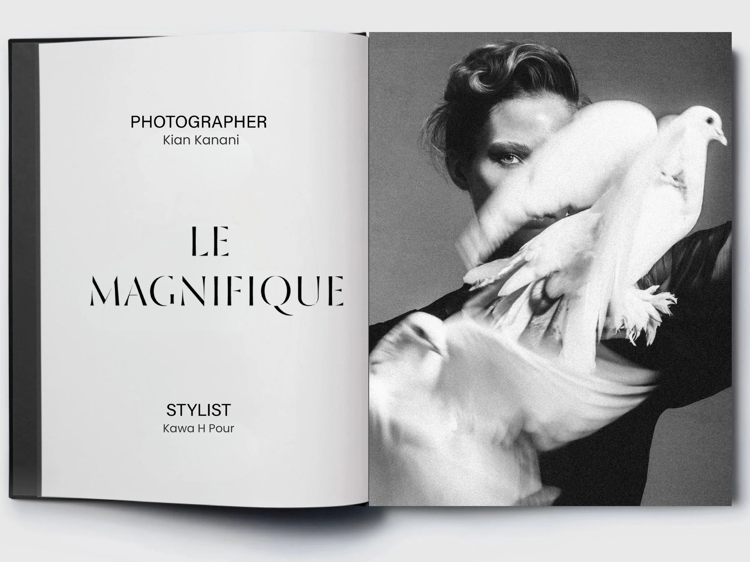 Le Magnifique - Author_000004.jpg