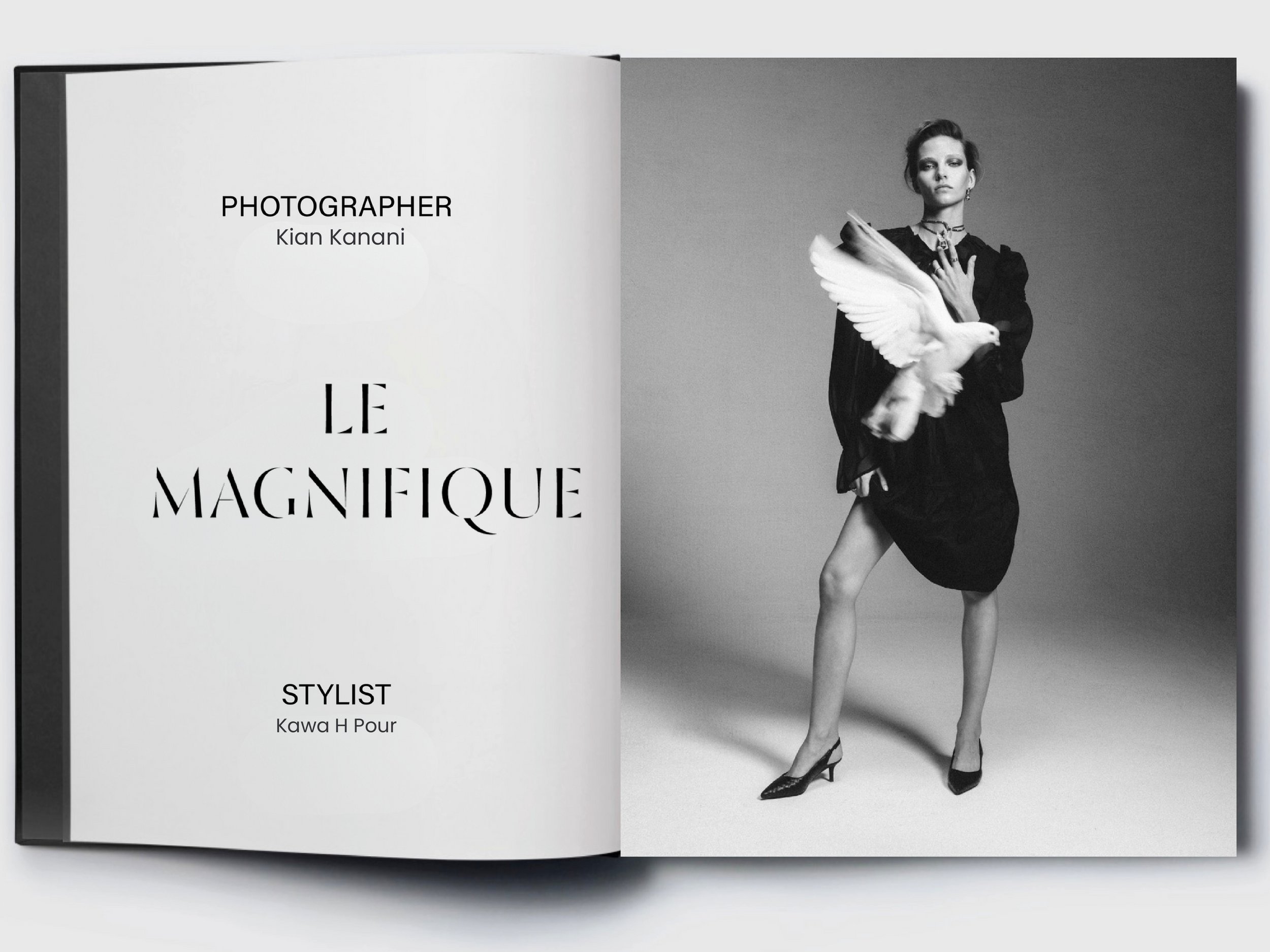 Le Magnifique - Author_000005.jpg