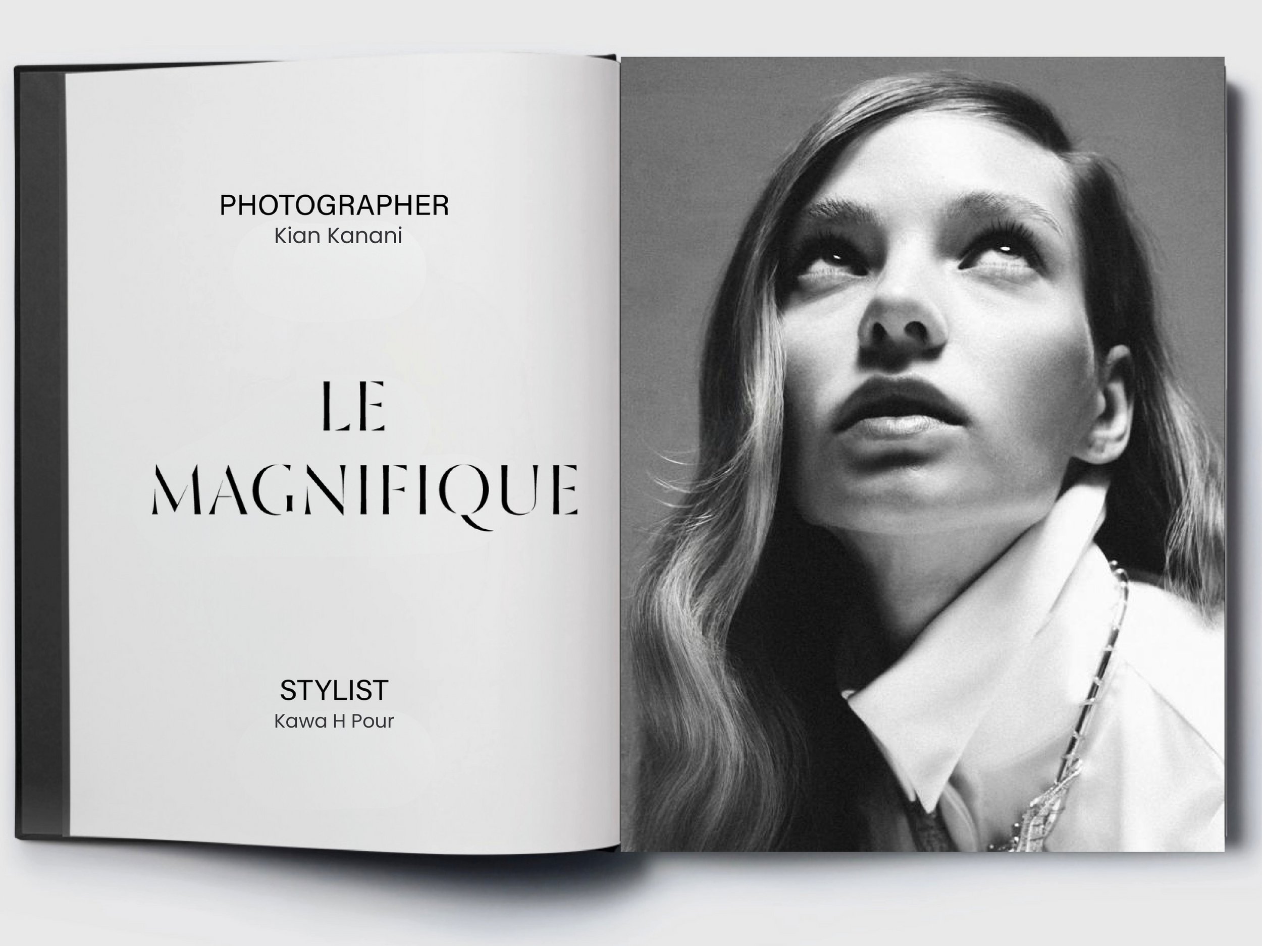 Le Magnifique - Author_000006.jpg