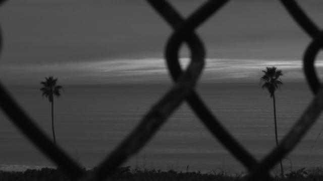 EARLY MORNING REBEL // Artist Series