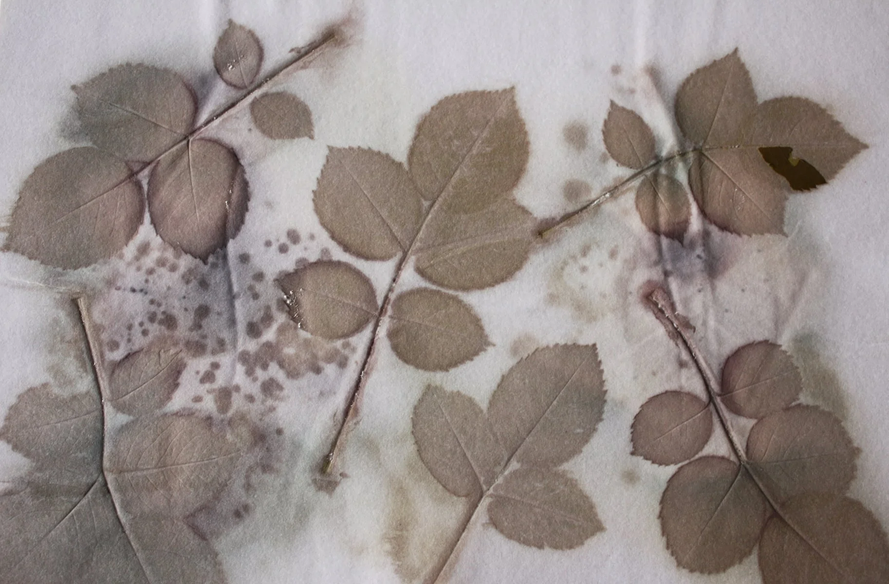 Natural Mark Making