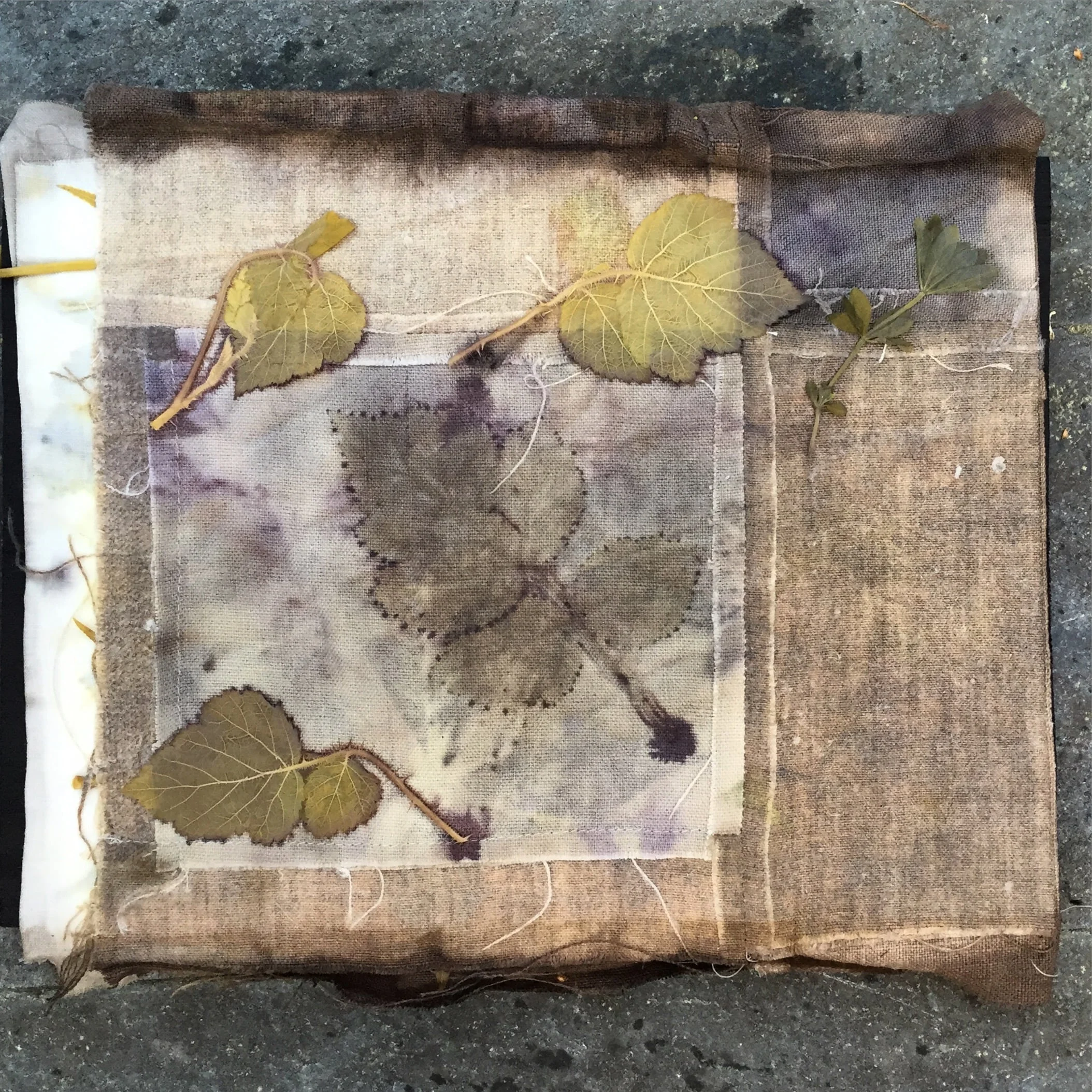 Eco Printing