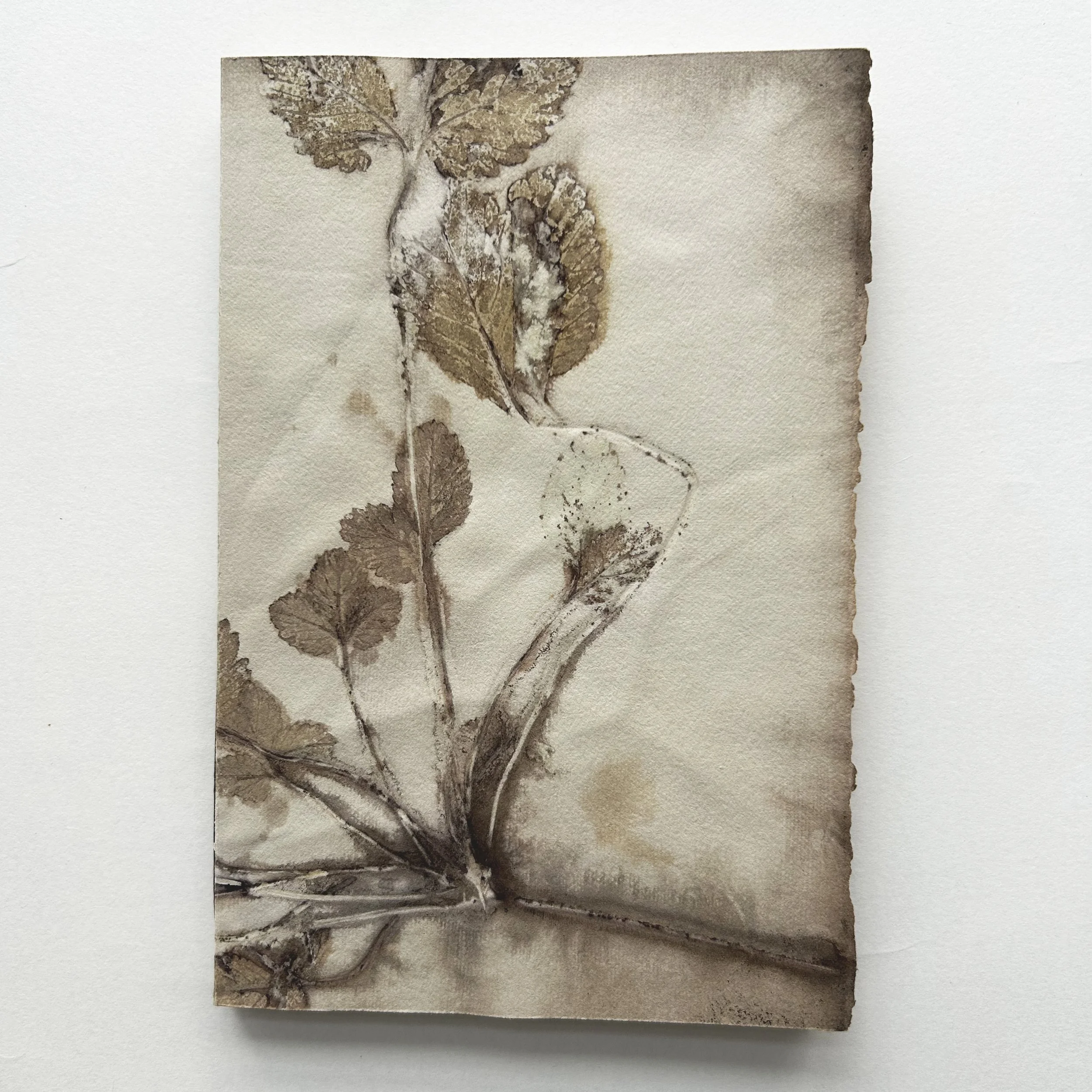 BOTANICAL NOTE BOOKS