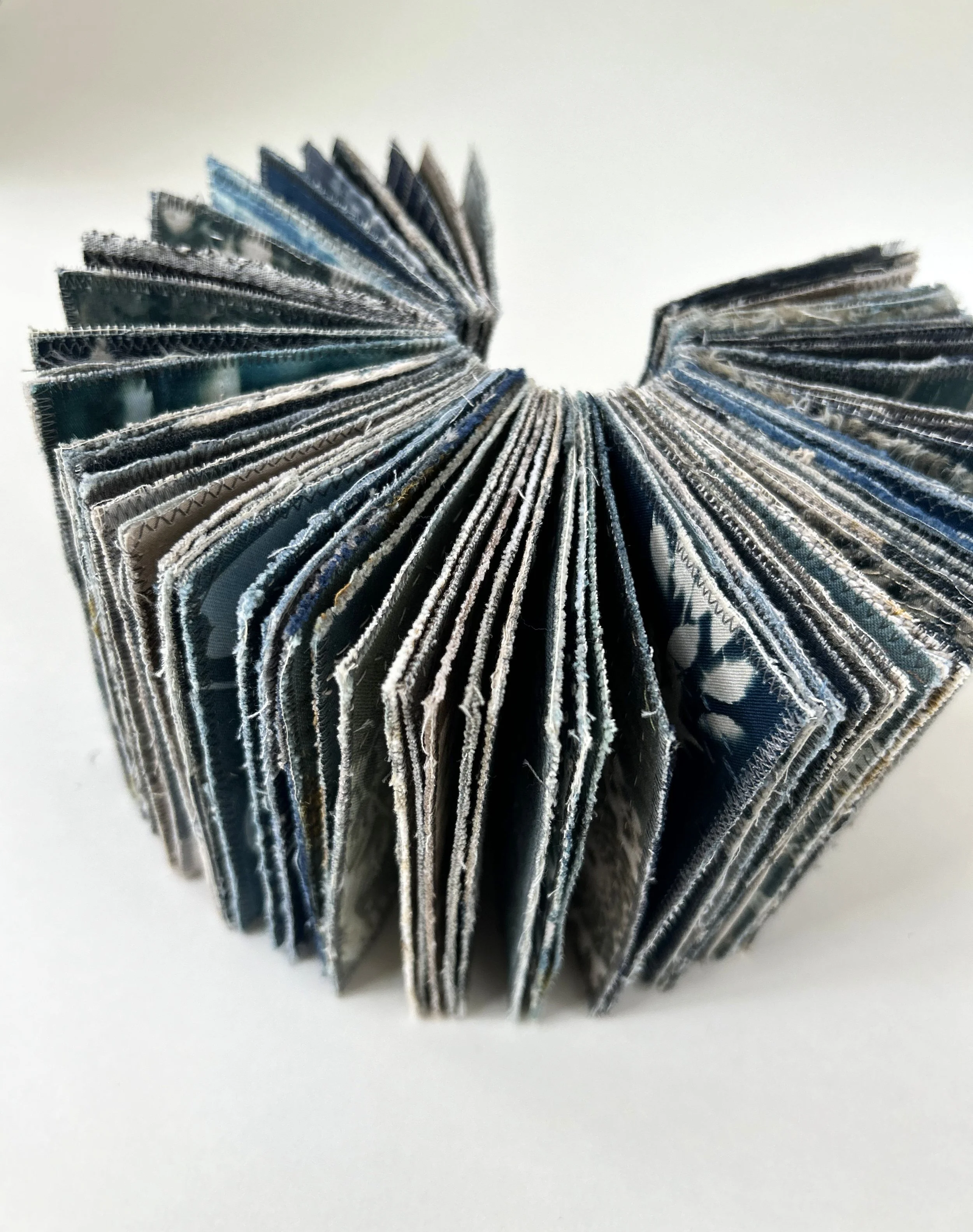 Blue_Book_2_Helleberg.jpg