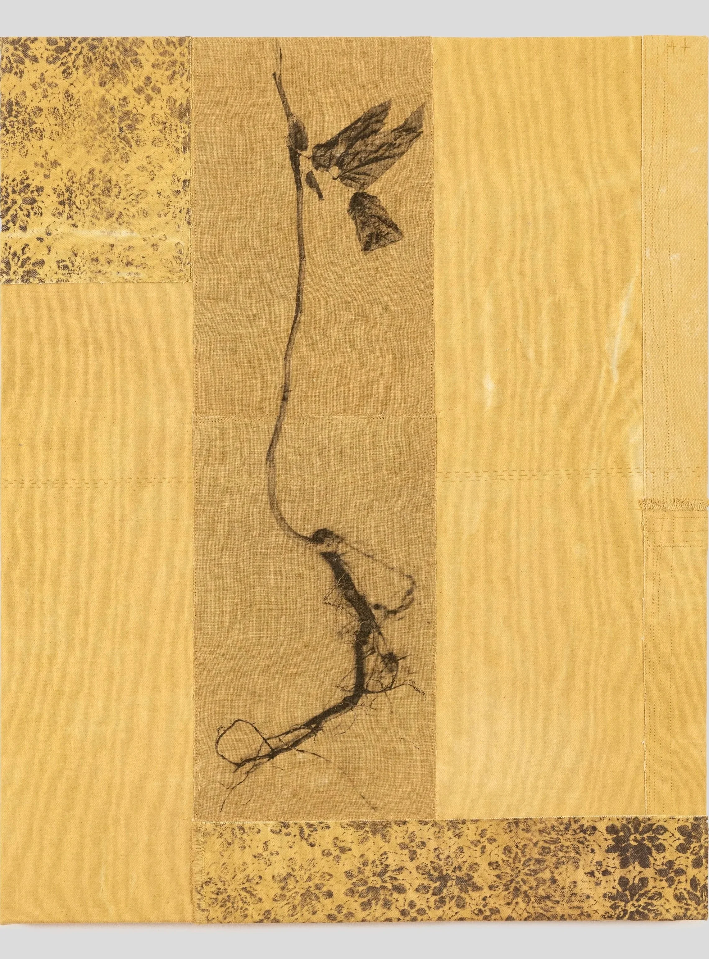 Unearthed_helleberg_rev_sm.jpg