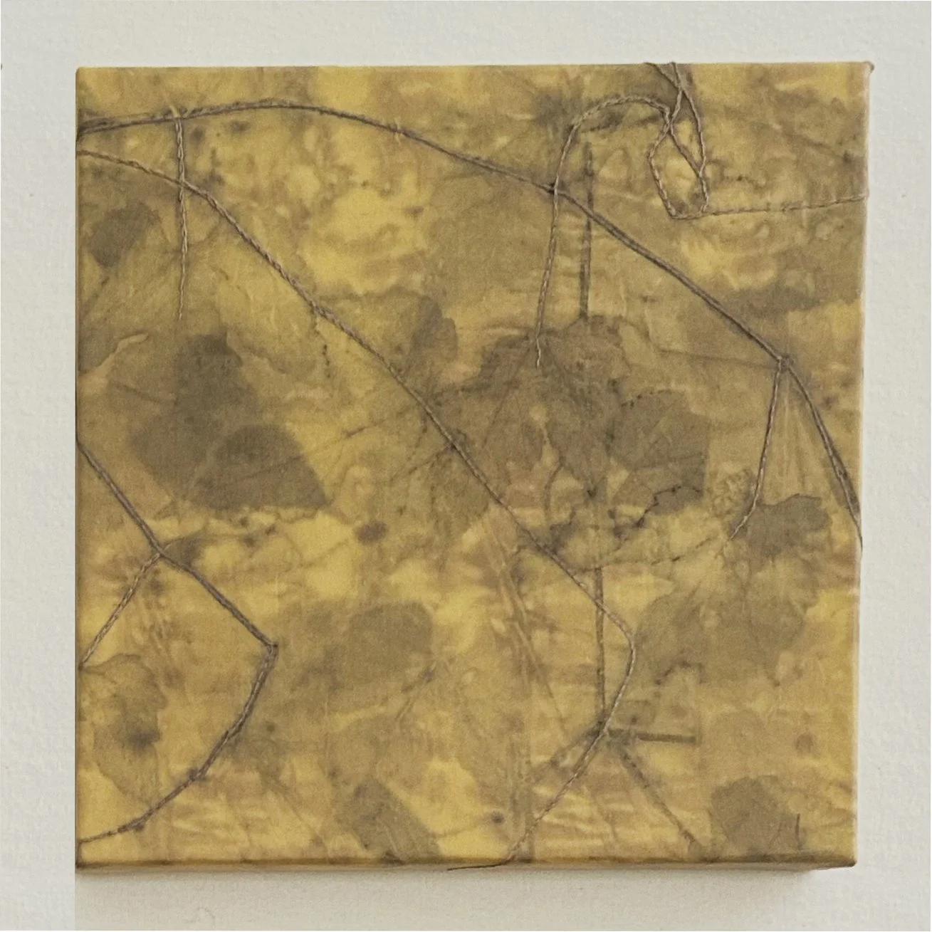 Entwined_II_helleberg copy.jpg