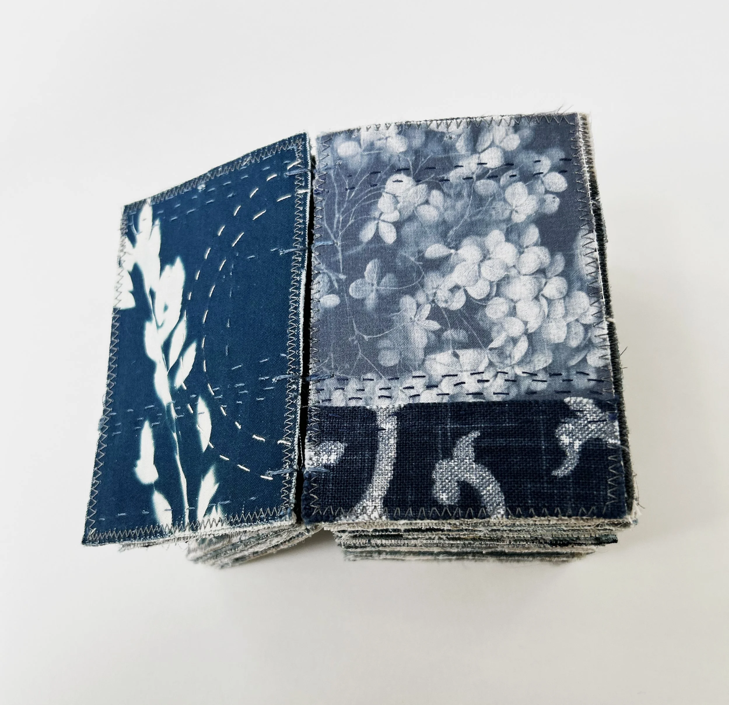 Blue_book_det1_helleberg copy.jpg