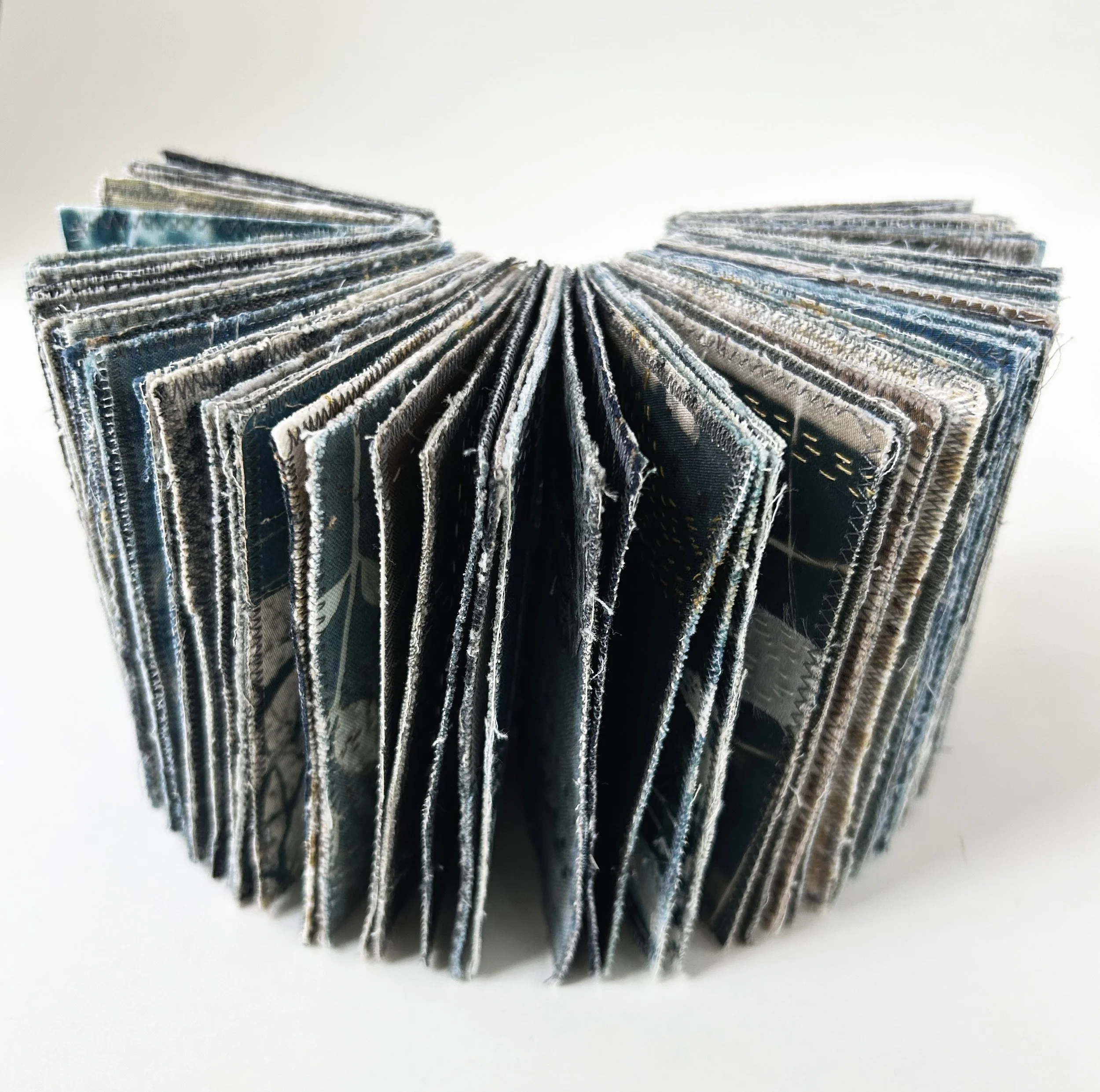 bluebook6.jpg