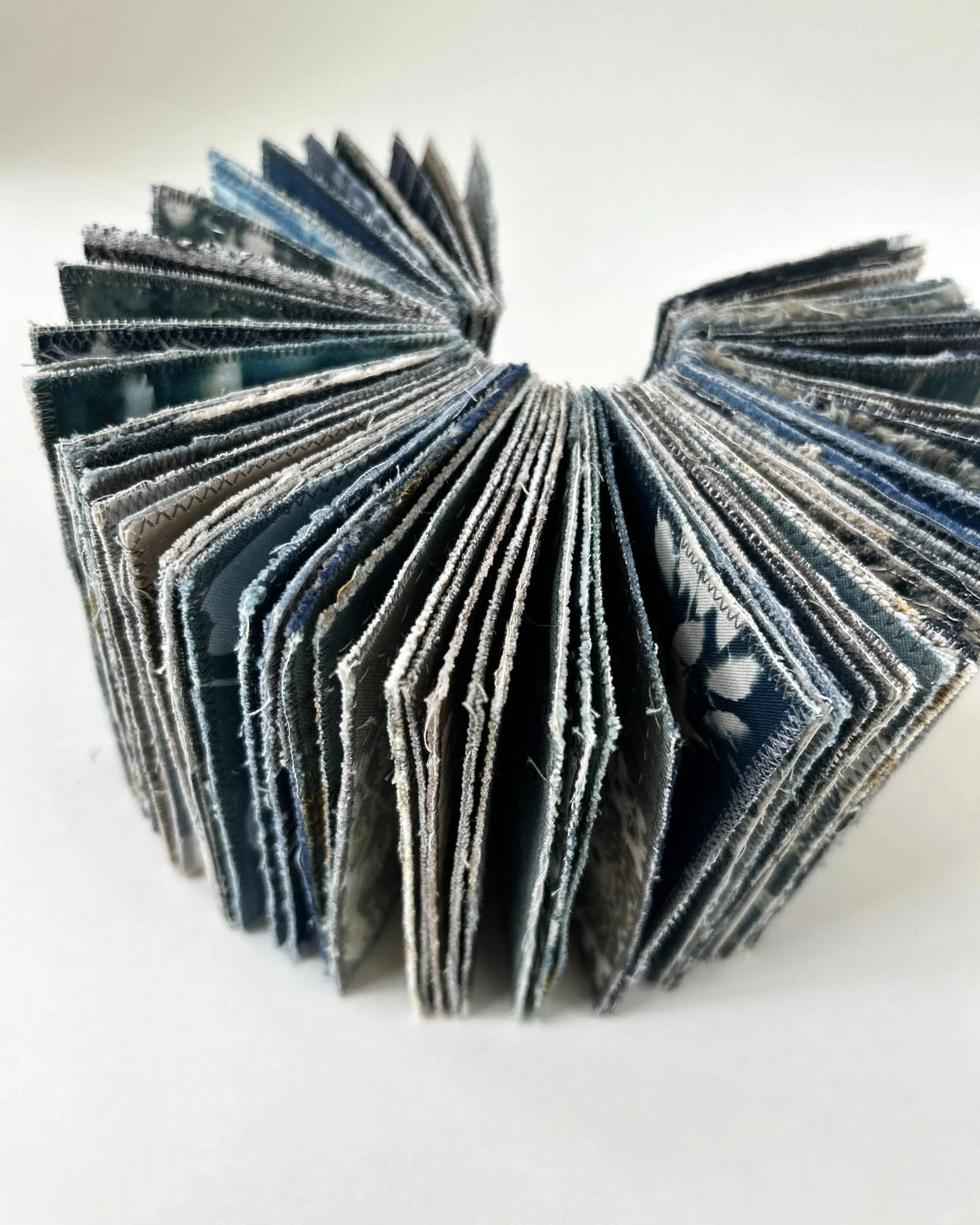 Blue_Book_2_Helleberg.jpg