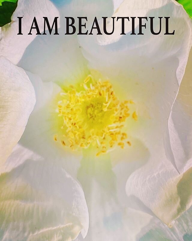 Daily Thought from Spirit: Spirit is big on I AM statements and gives this one for us to say as we walk each other home to lOve. Say 3 times this wonderful mantra, &ldquo;I AM BEAUTIFUL&rdquo;
With a long breath in, each time. Feel the tingle from yo