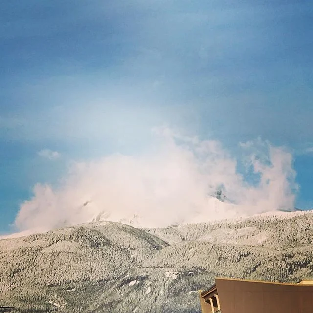 The wind and the snow.