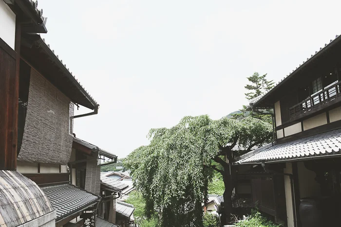 This rainy day in Kyoto.