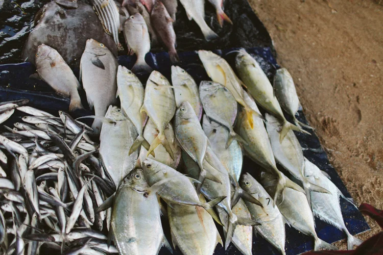 Sri Lanka, Pearl of the Indian Ocean