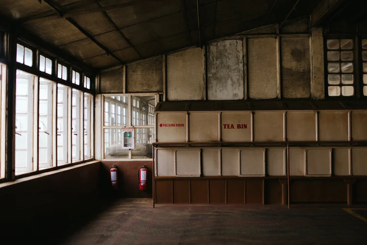 Inside a Sri Lankan Tea Factory
