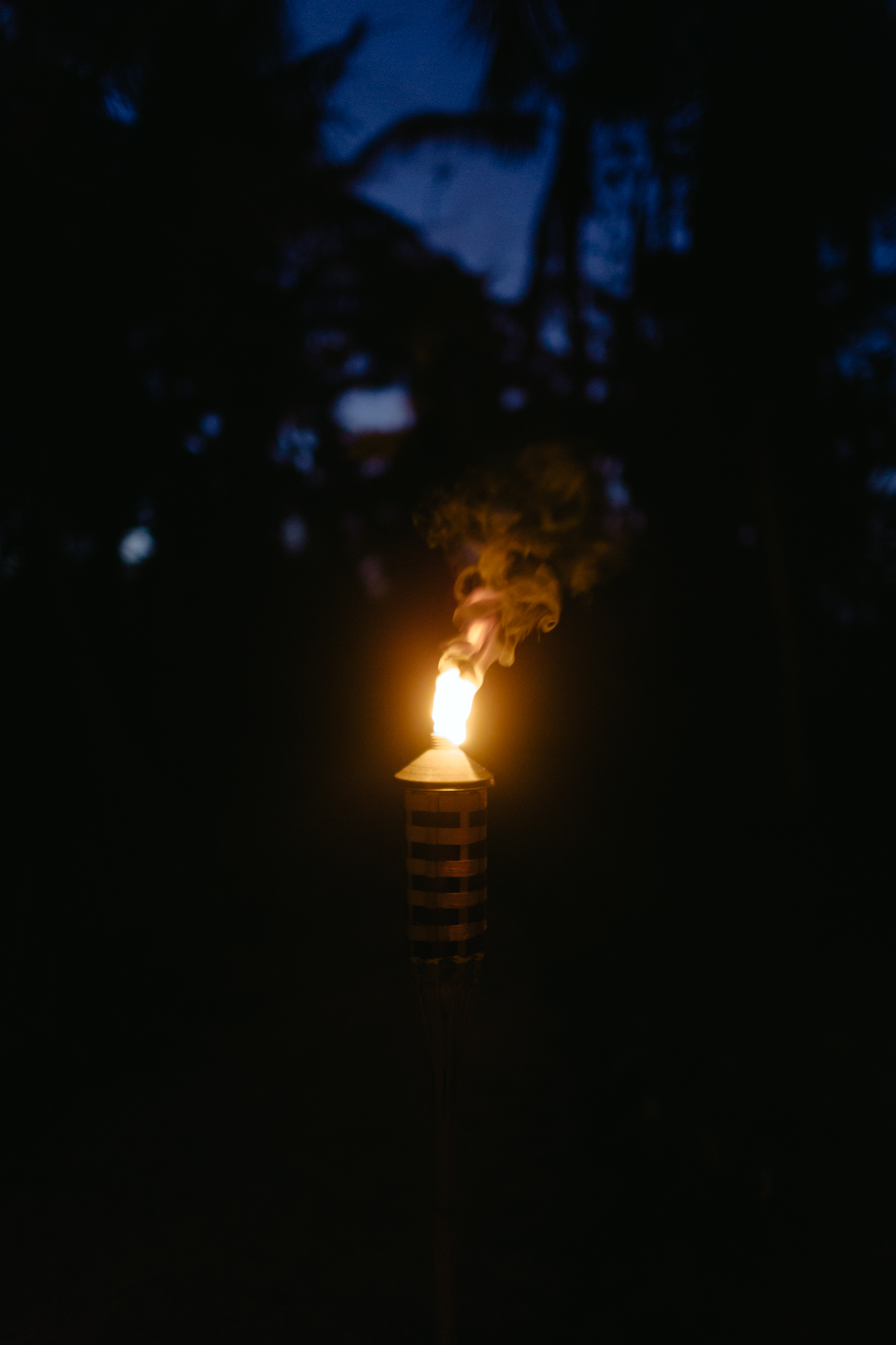 BD2A6386.jpg