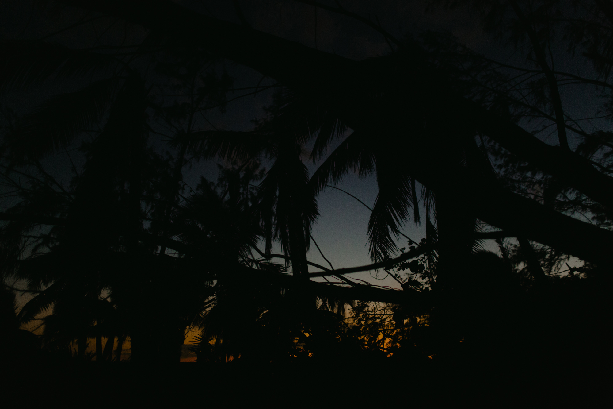 BD2A1061.jpg