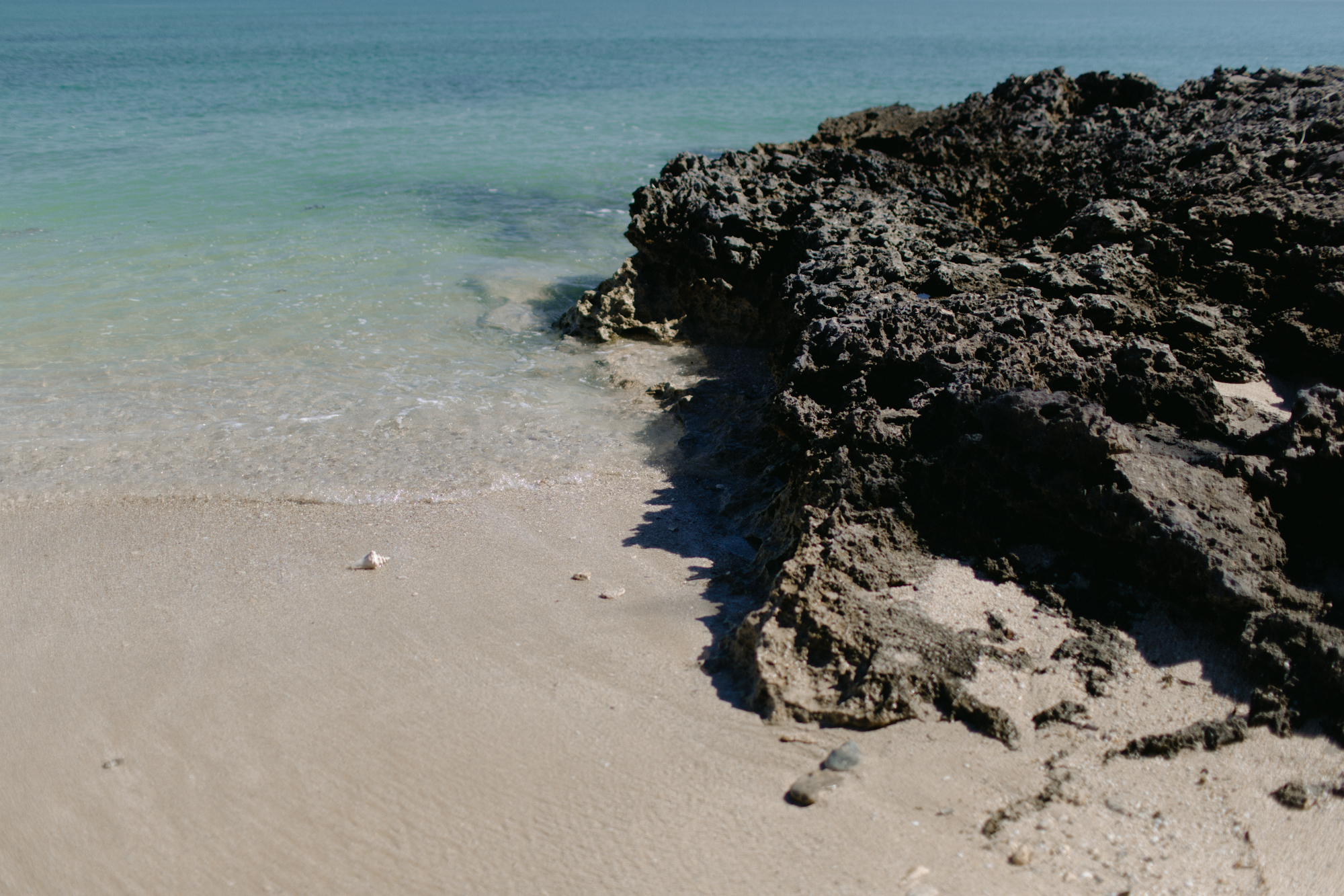 BD2A8626.jpg