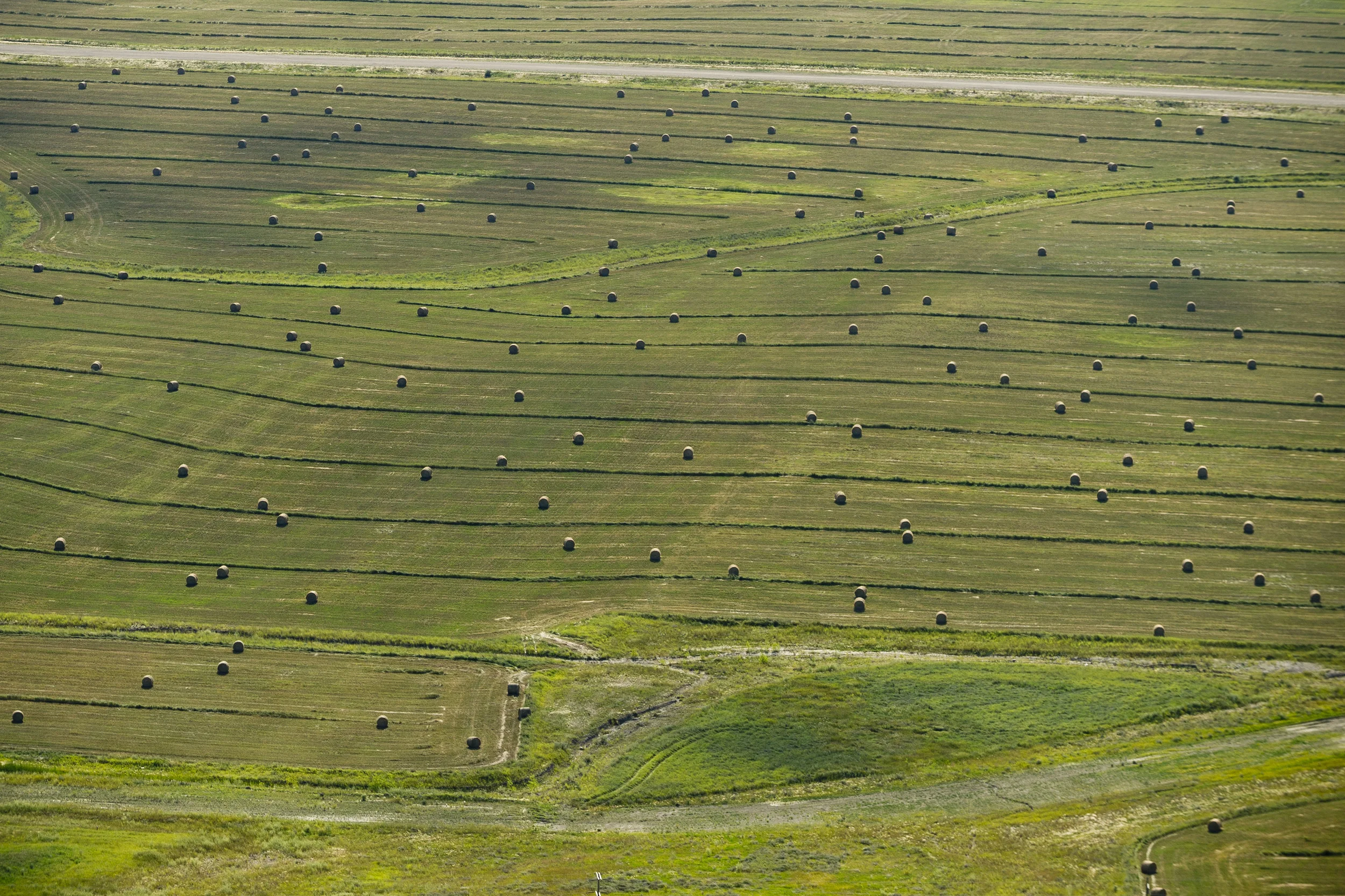 Hay bales in McLean County, ND.