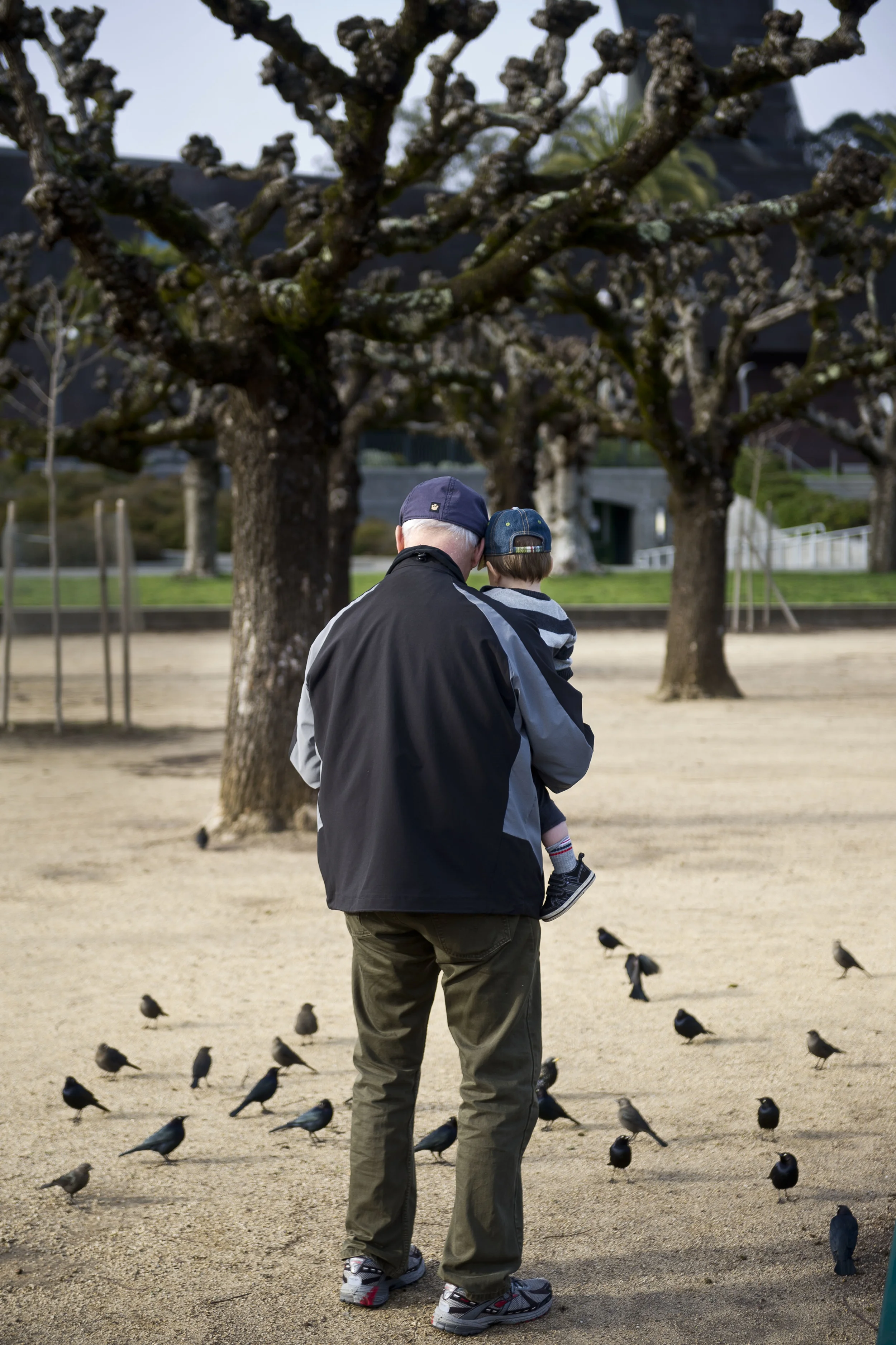 Birdwatching in Golden Gate Park, San Francisco. 2014
