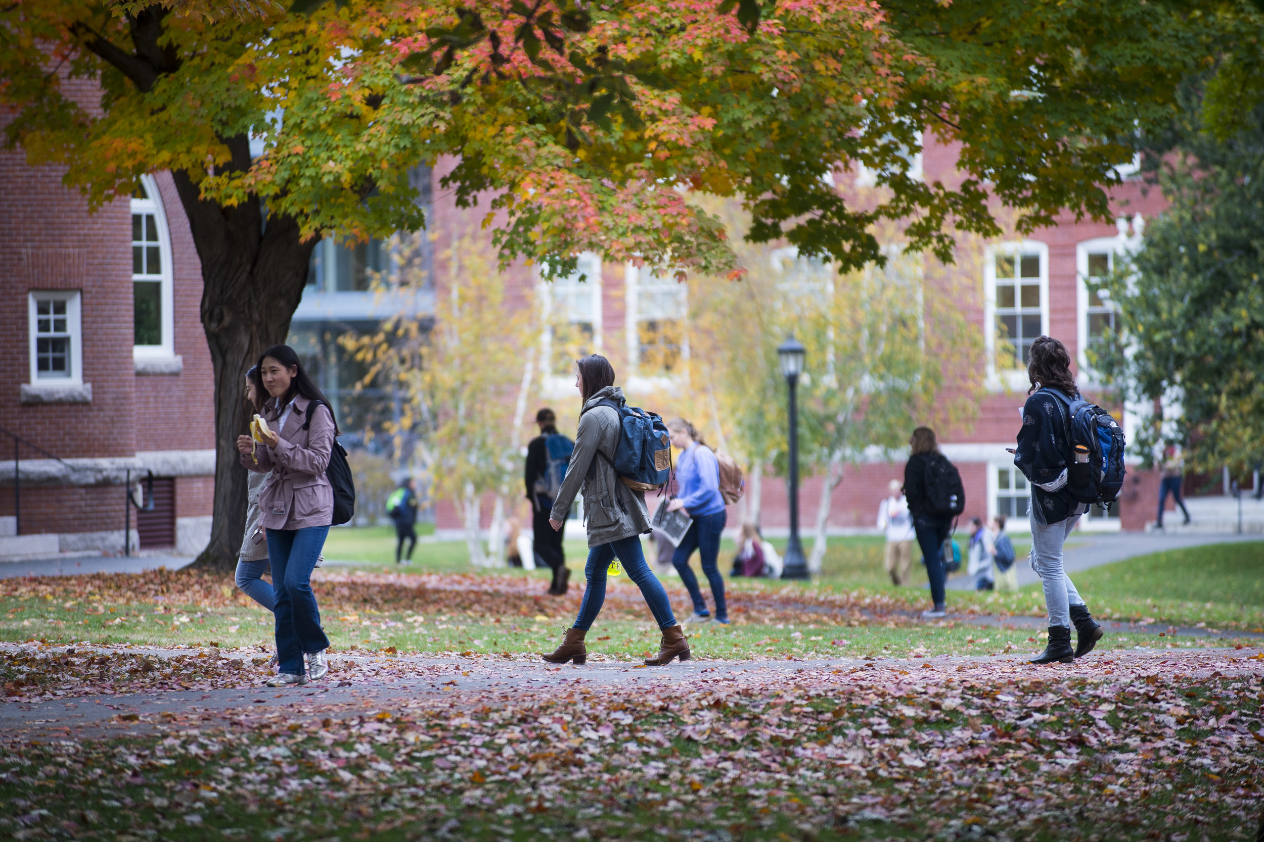  Fall is in full swing. 