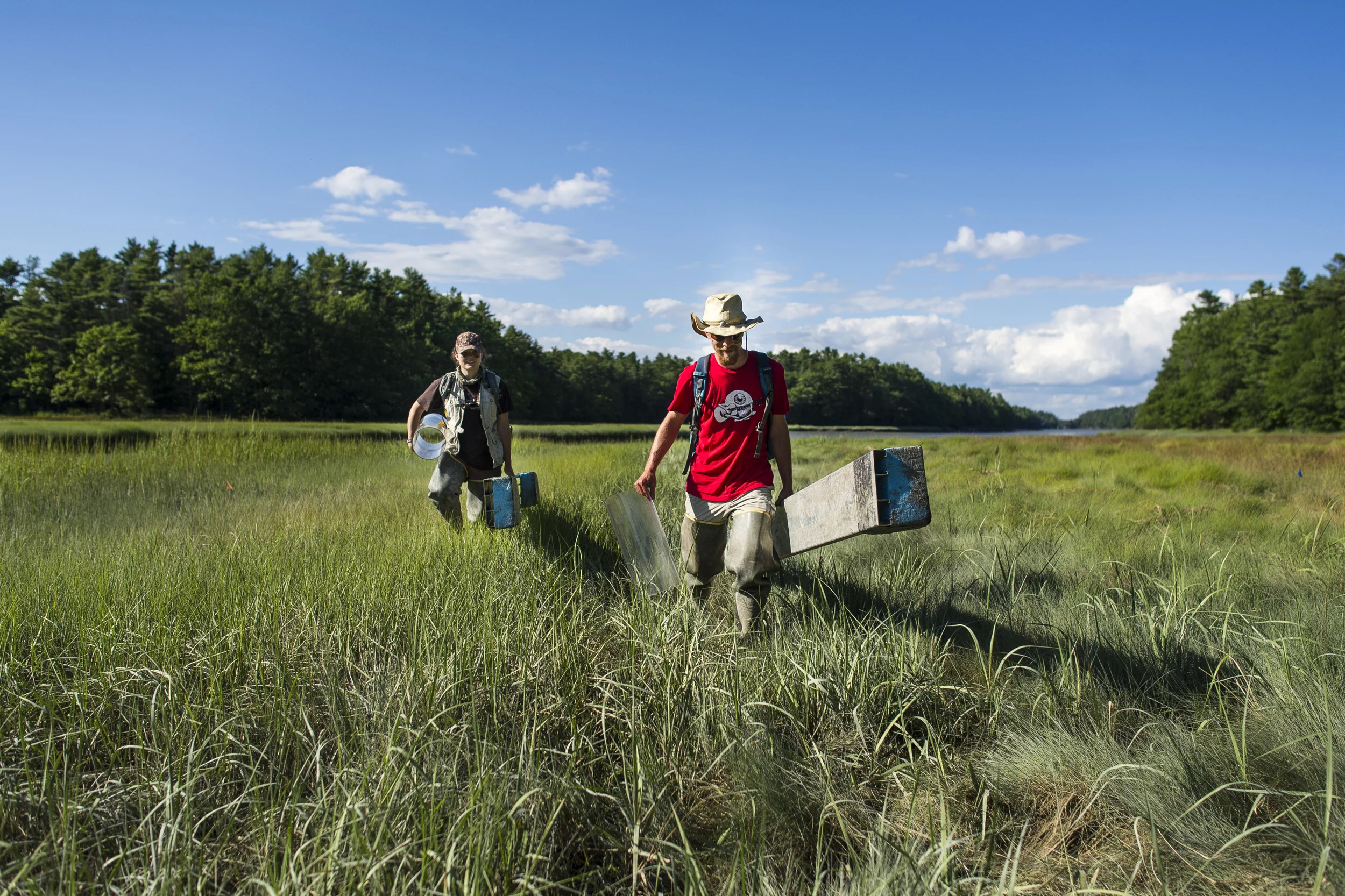 Gunn and Cohen-Kaplan have been working with geology professor Bev Johnson to measure the carbon budget of Maine’s salt marshes. Specifically, they are measuring the amount of methane released by two different salt marshes, the Sprague River Marsh, part of Bates-Morse Mountain, and Long Marsh, in Harpswell. Long Marsh, occupying a long, narrow glacially carved valley at sea level, has experienced restricted tidal flow for decades. As a result, its health has suffered.