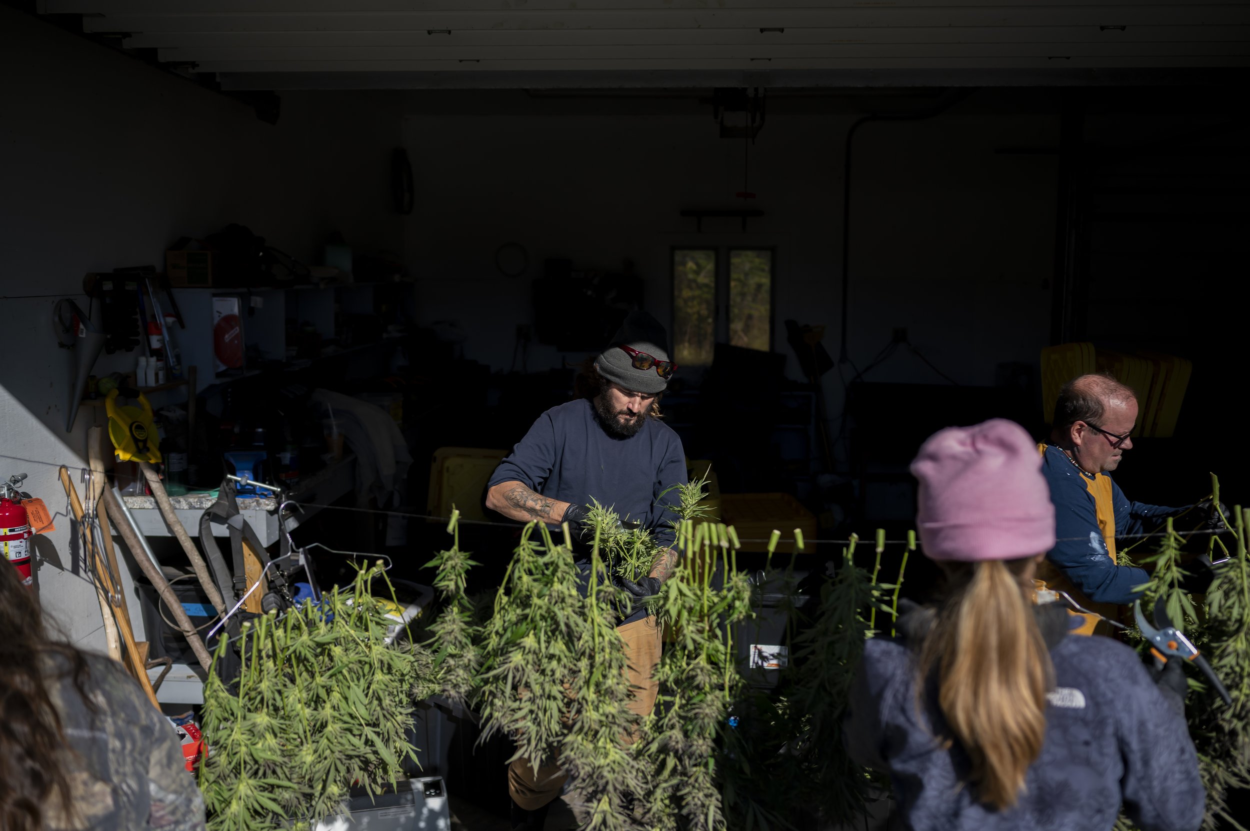 2024-10-17_OldGrowth_096.jpg