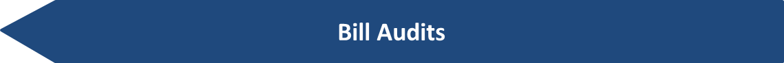 Bill Audits.png