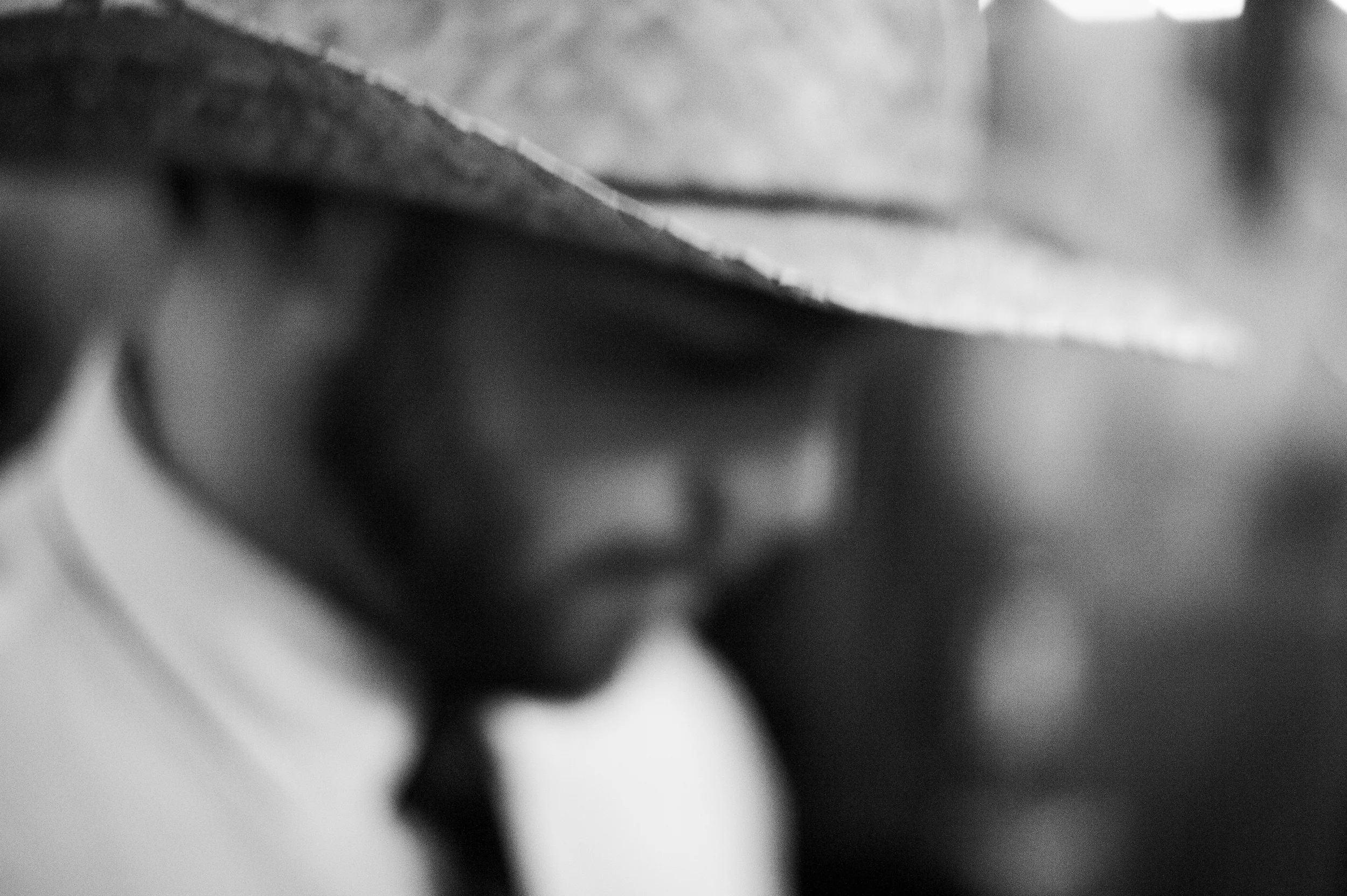 Lizzie and Kelby Wedding-1194.jpg