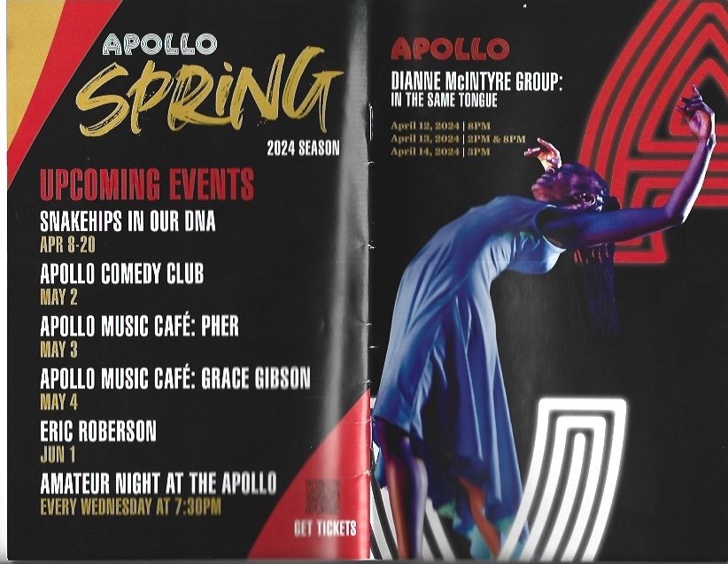 Dianne McIntyre @ Apollo Program Cover .jpeg