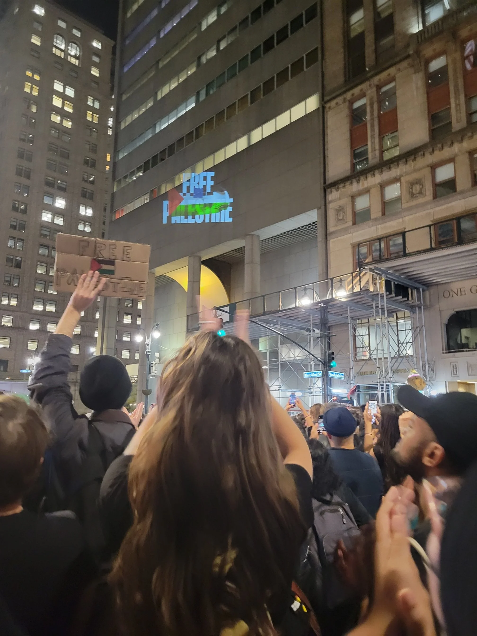 Free Palestine 1.jpg